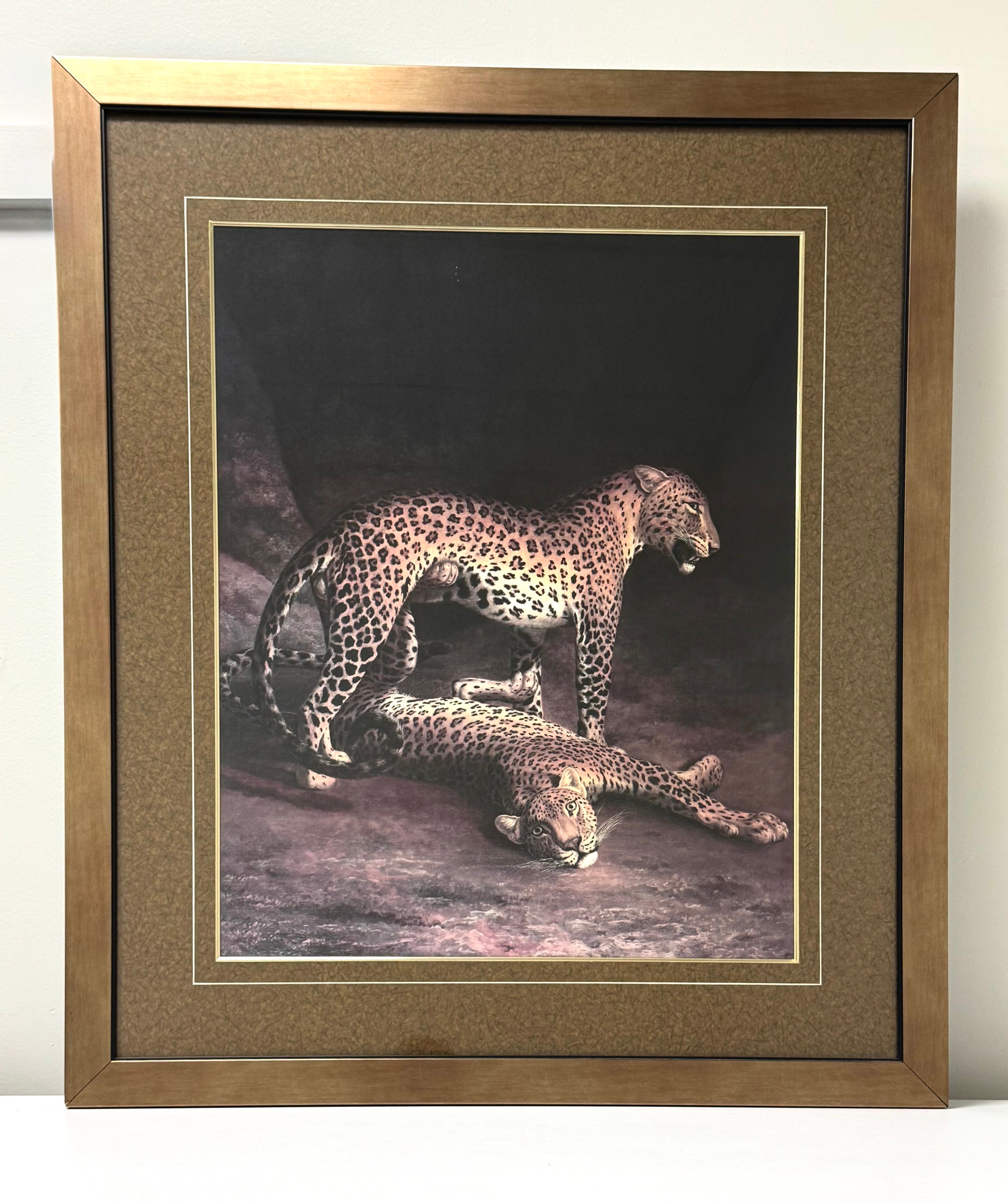 'Two Leopards Lying in Exeter' Art Print