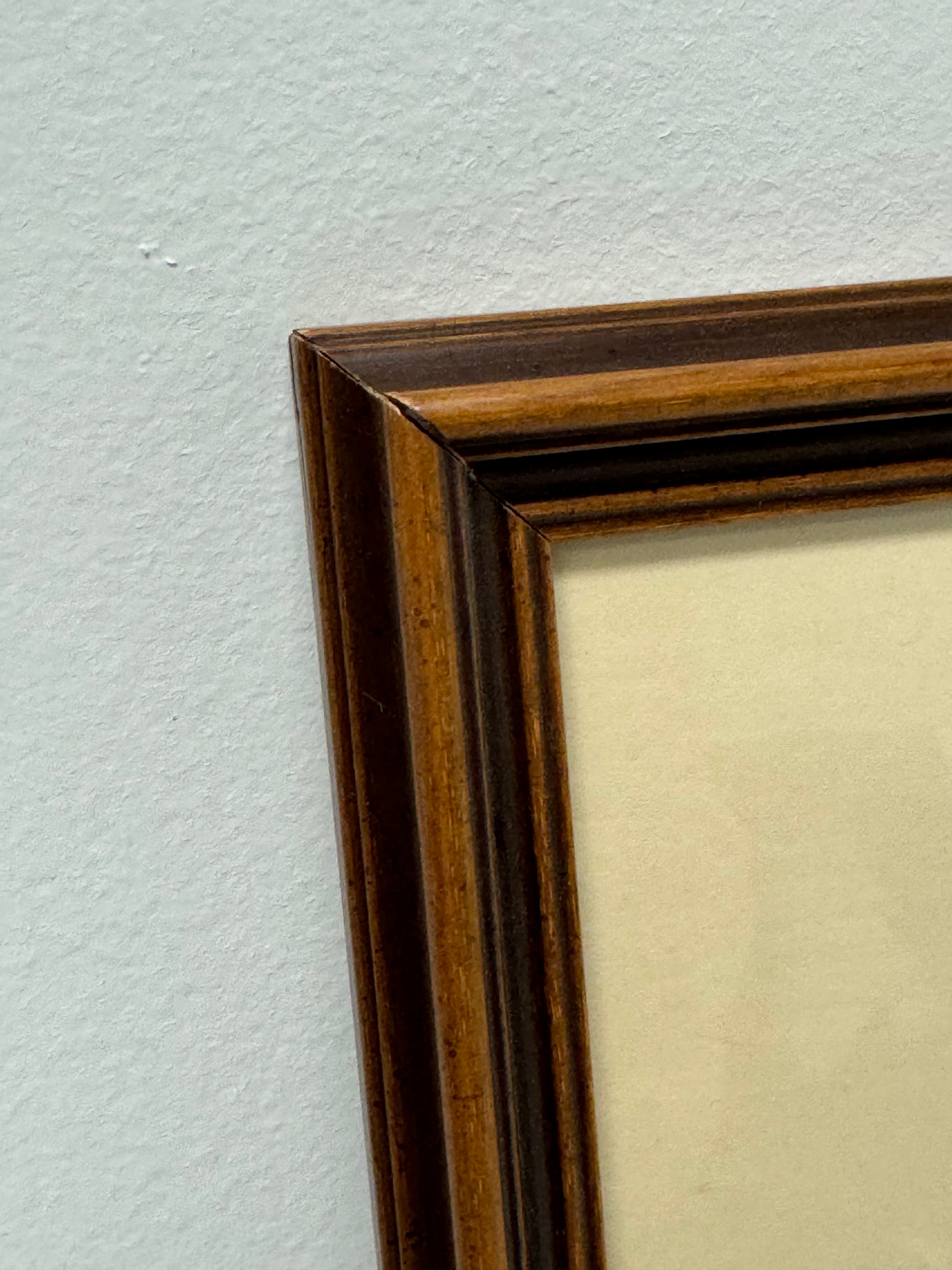 'Field Fence' Original Photograph