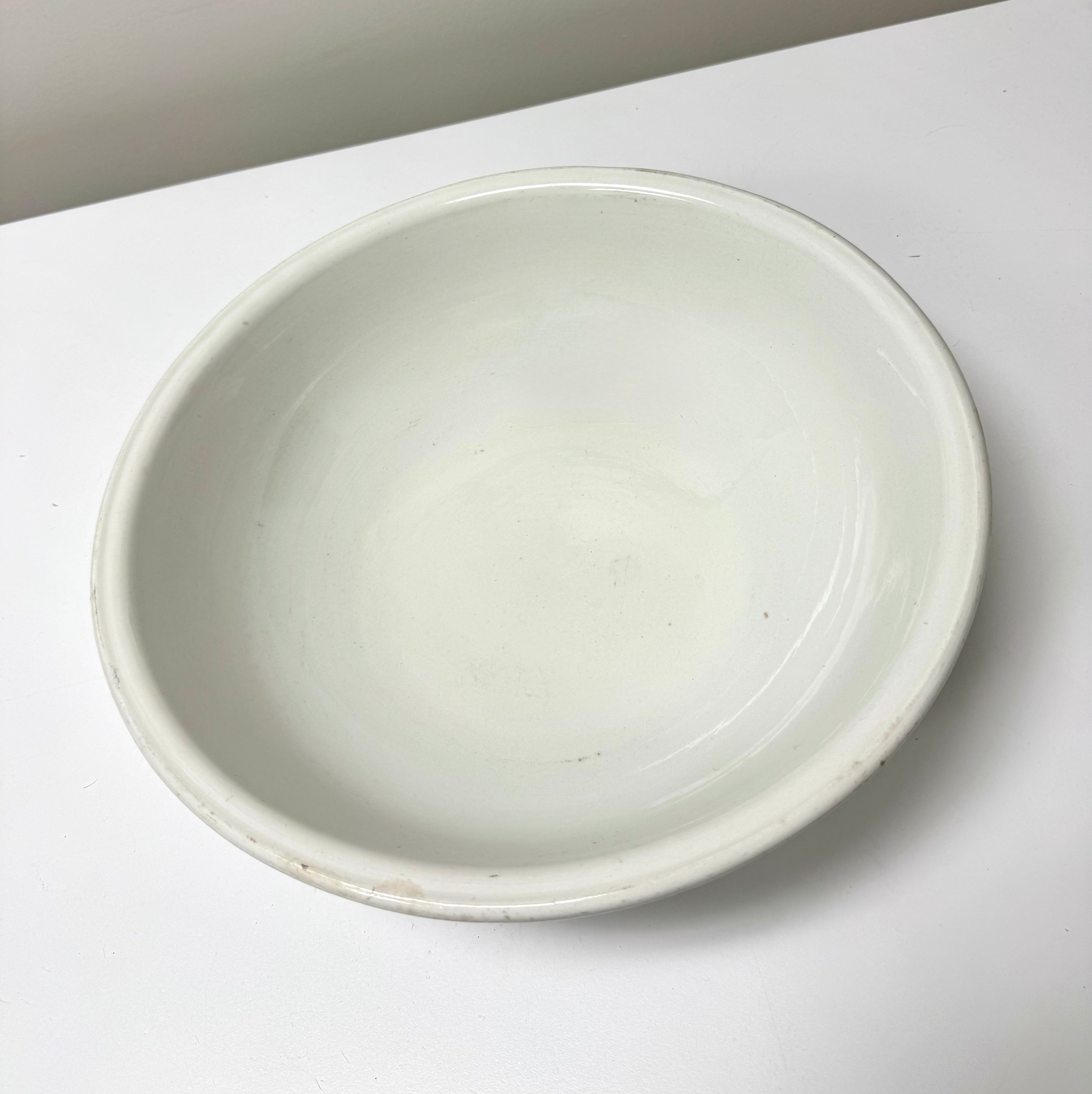 Vintage ROYAL STAFFORDSHIRE Ironstone 14" Bowl