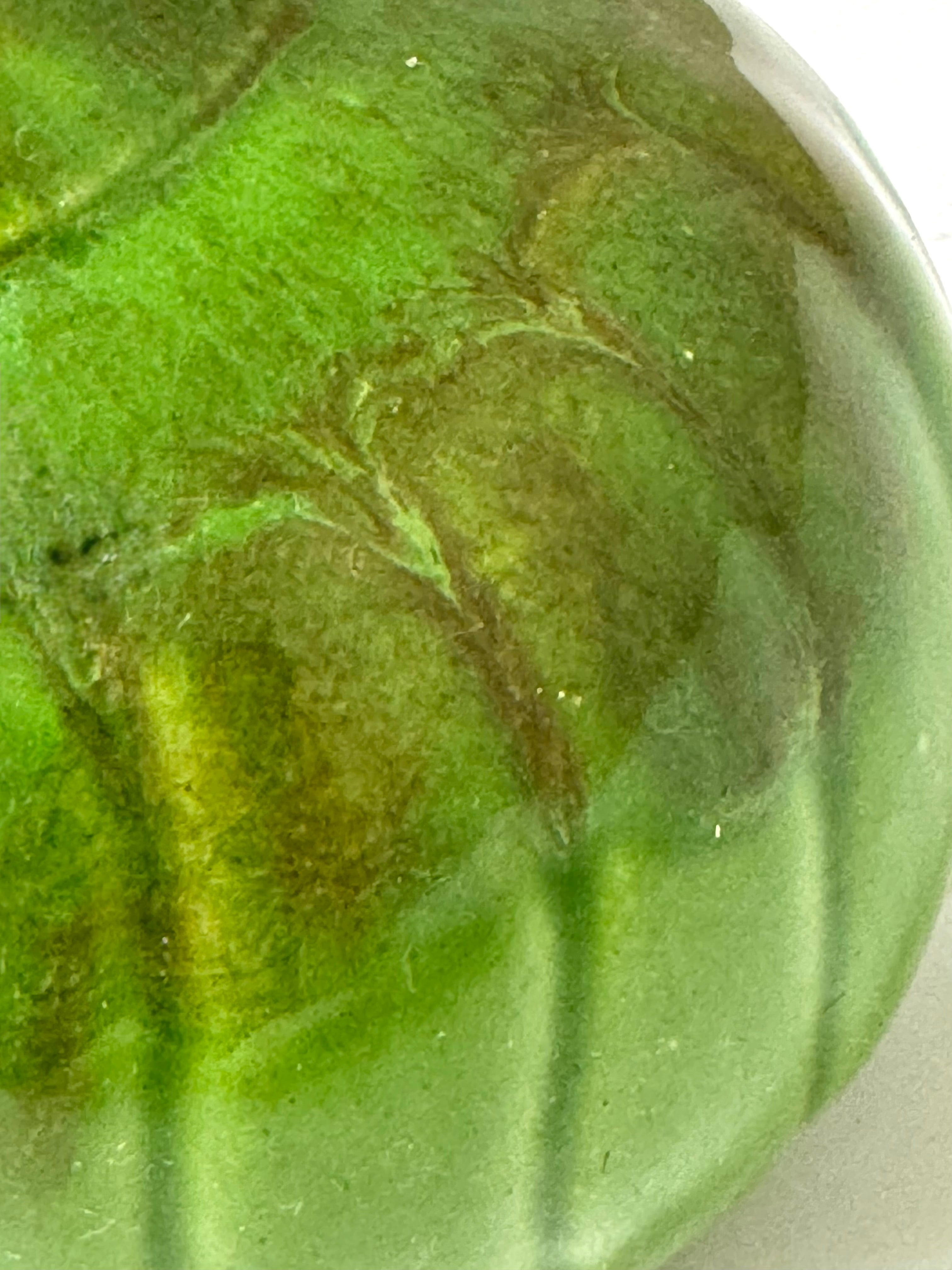 Jade Green 8-1/2" Ceramic Vase