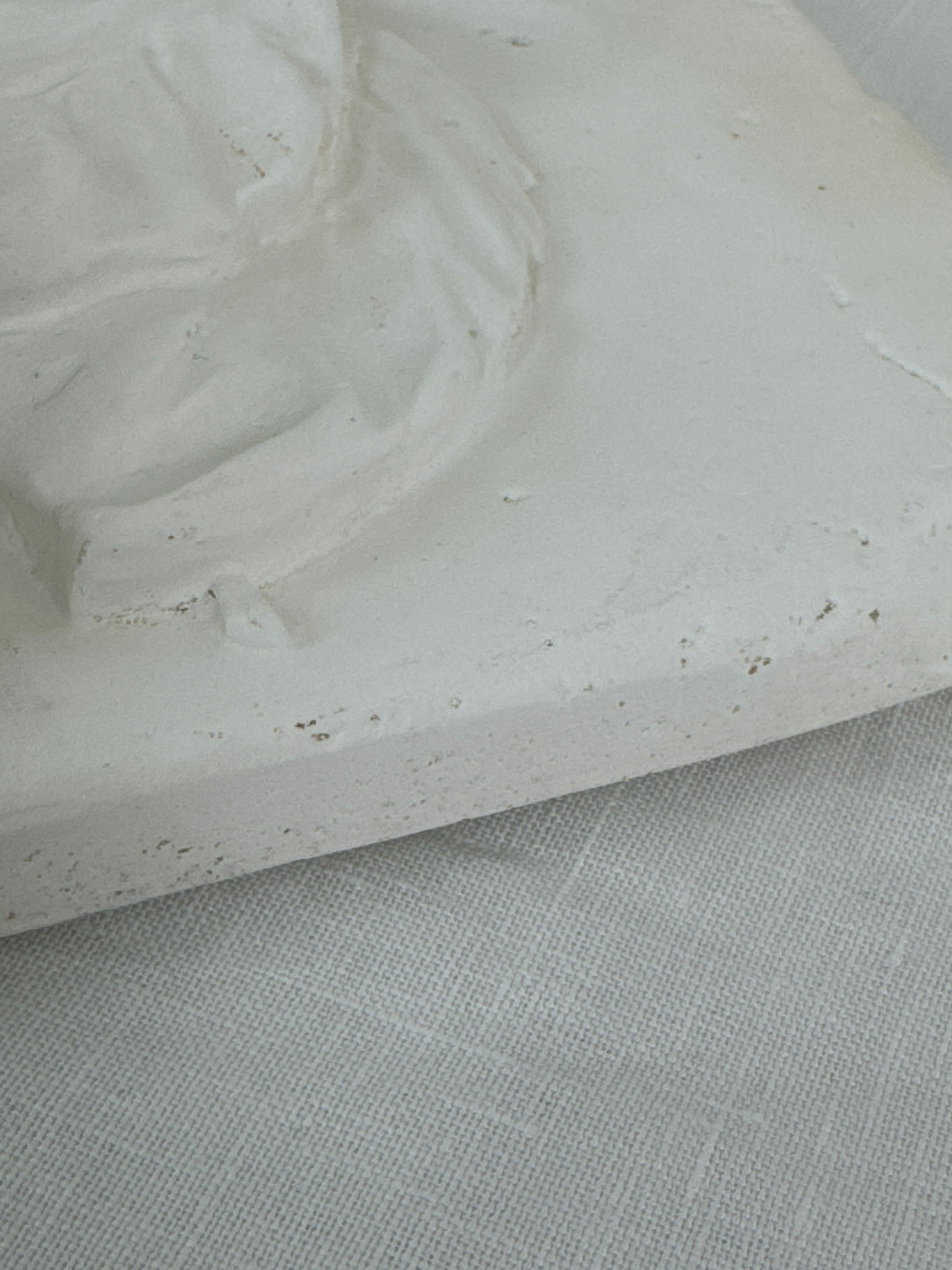 'La Prune' Plaster Wall Plaque