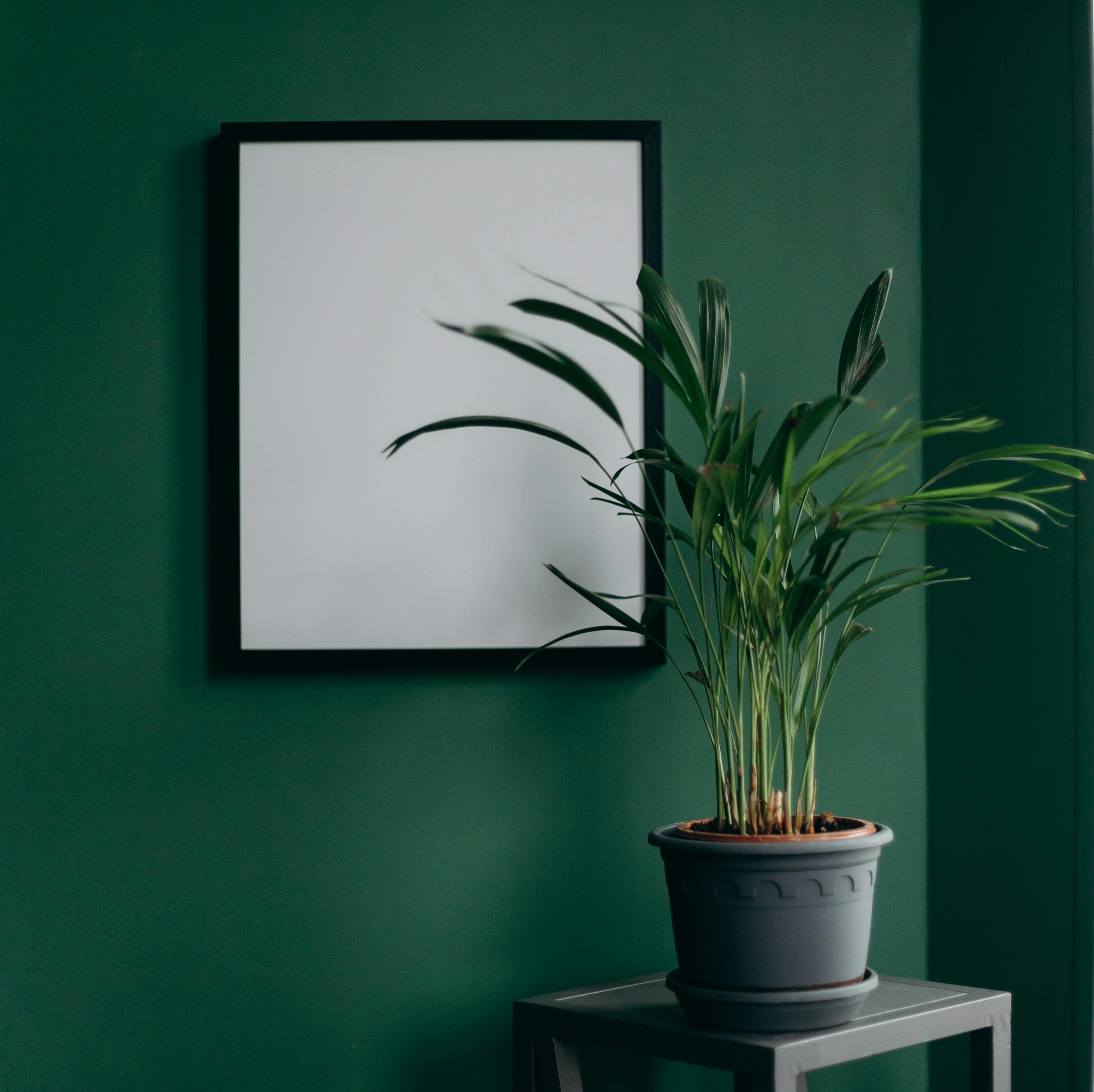 Greens