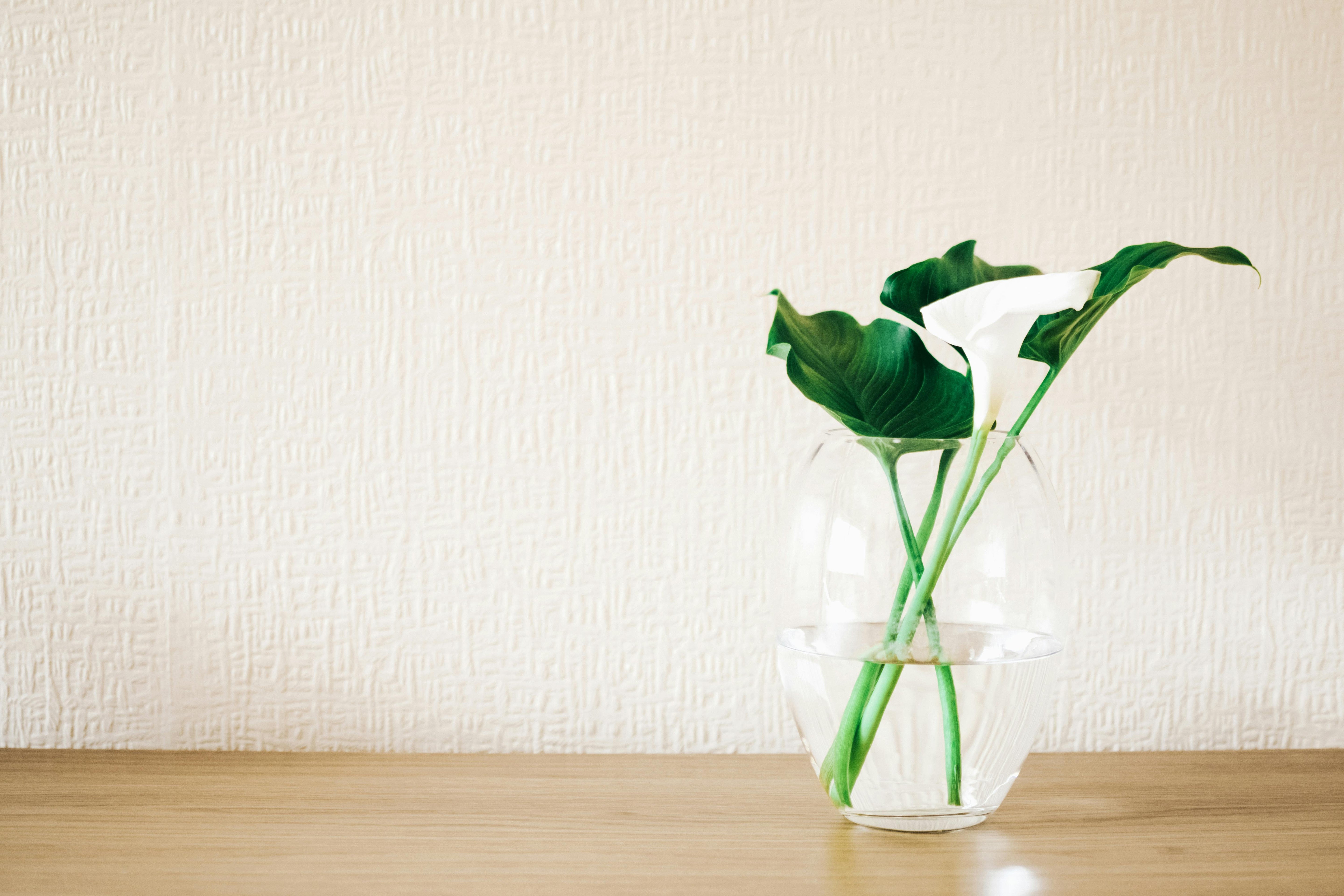Florals, Vases & Vessels