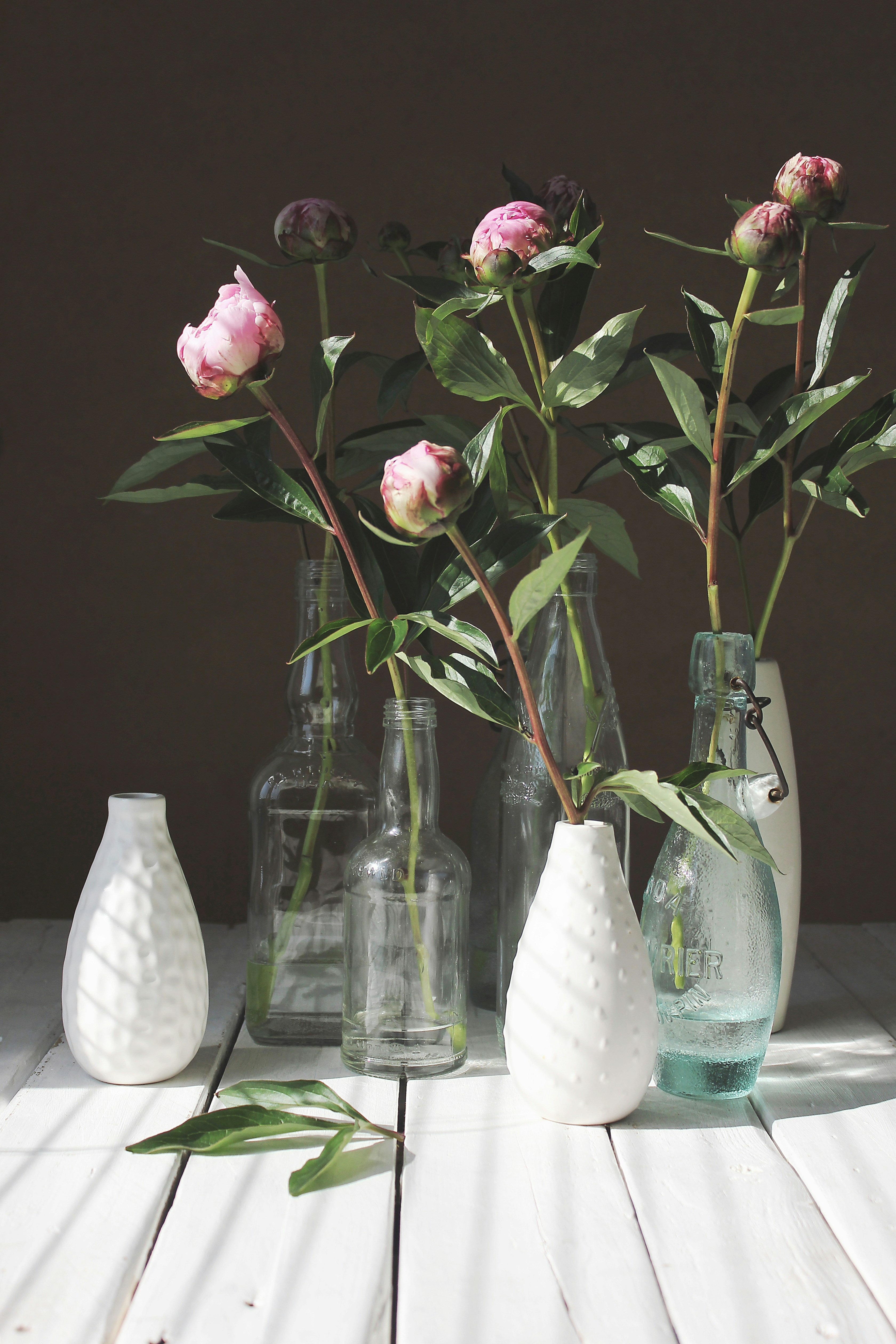 Vases & Vessels