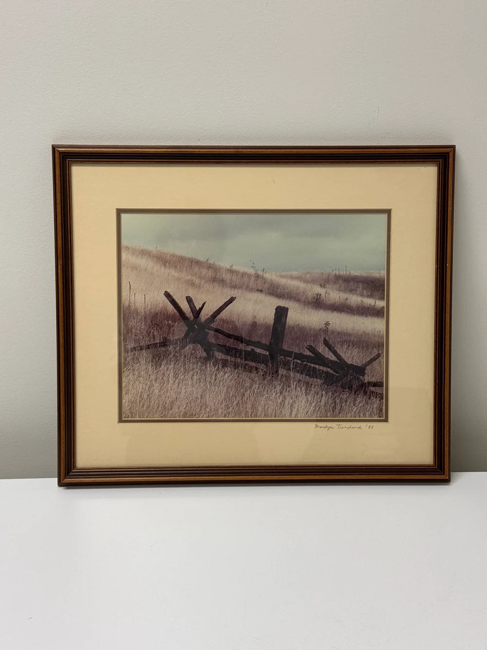 'Field Fence' Original Photograph *FINAL MARKDOWN*