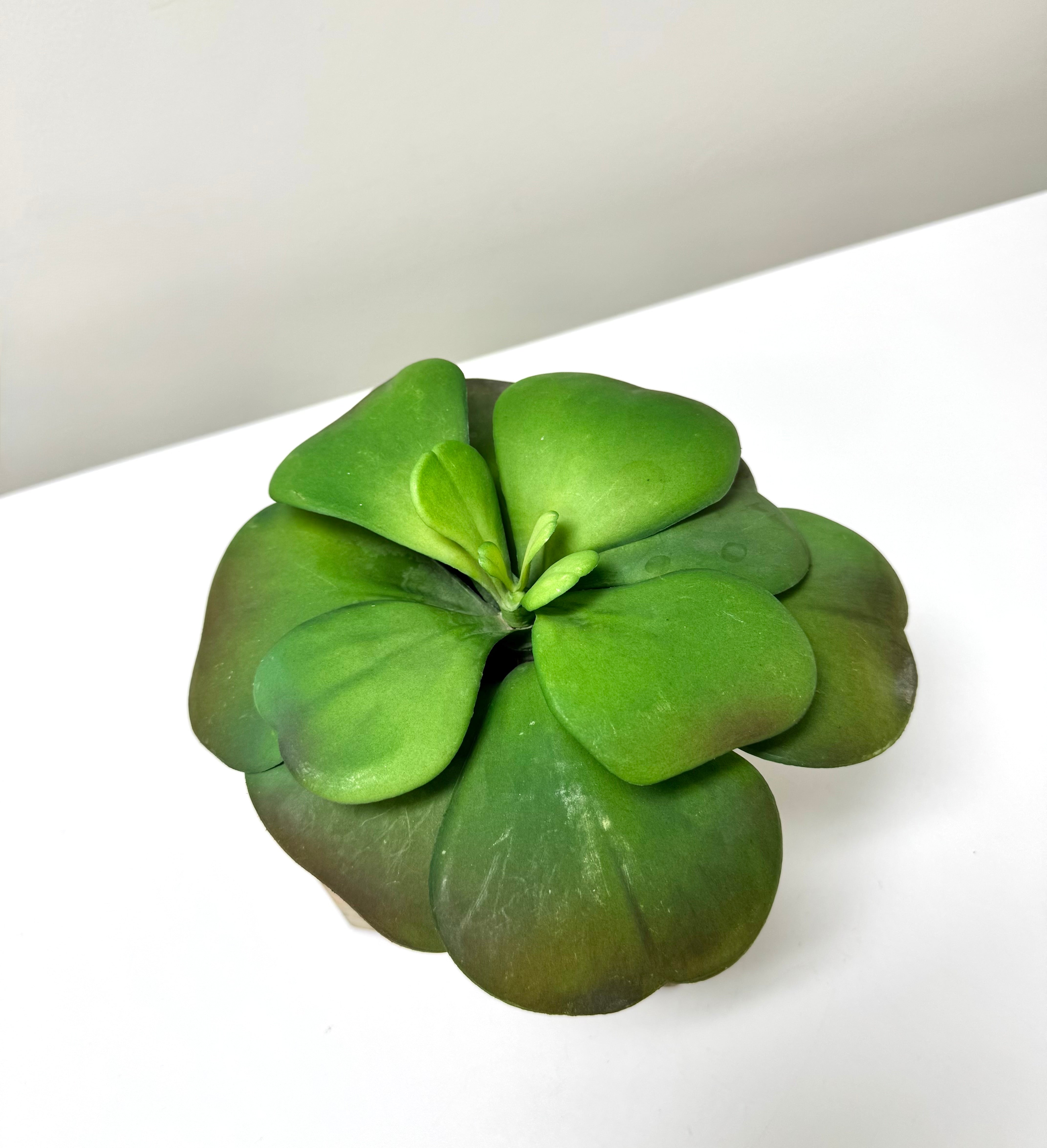 Faux Succulent in Wooden Box