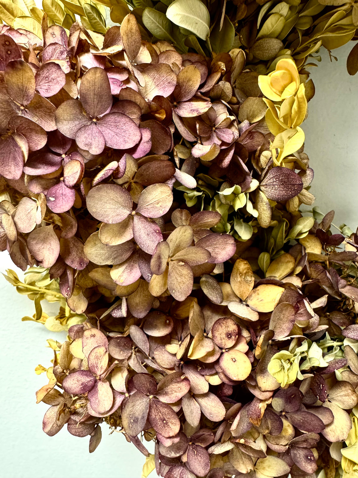 Dried Hydrangea 22" Wreath