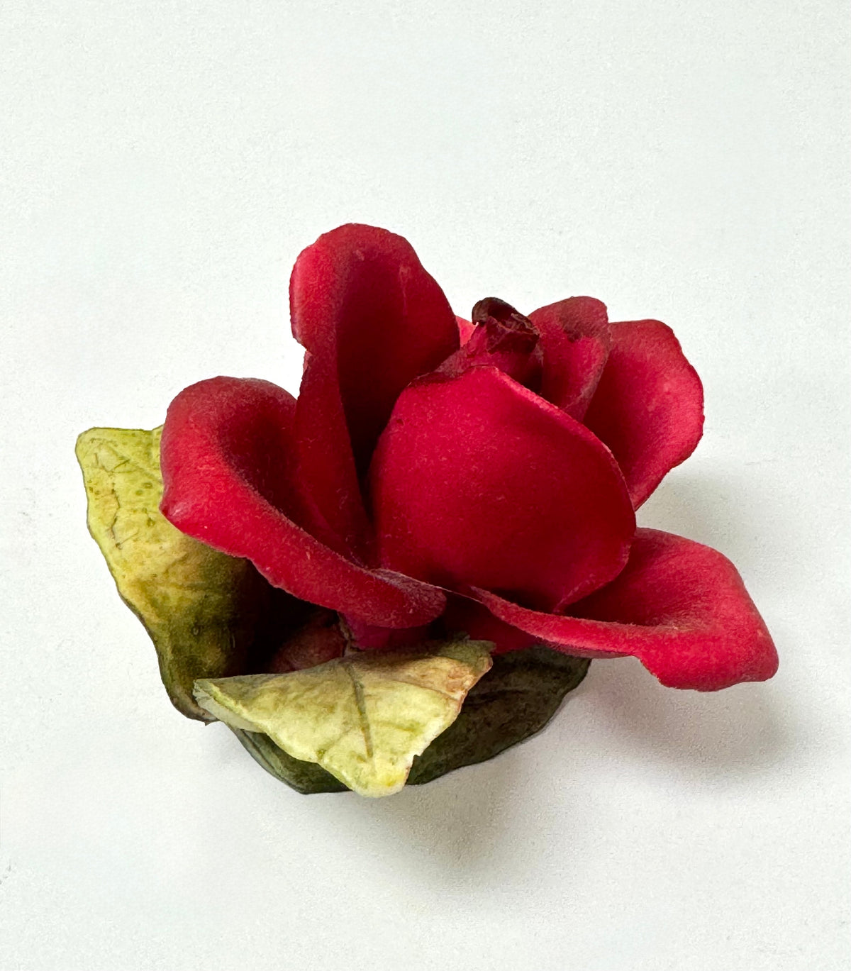 CAPODIMONTE Porcelain Red Rose