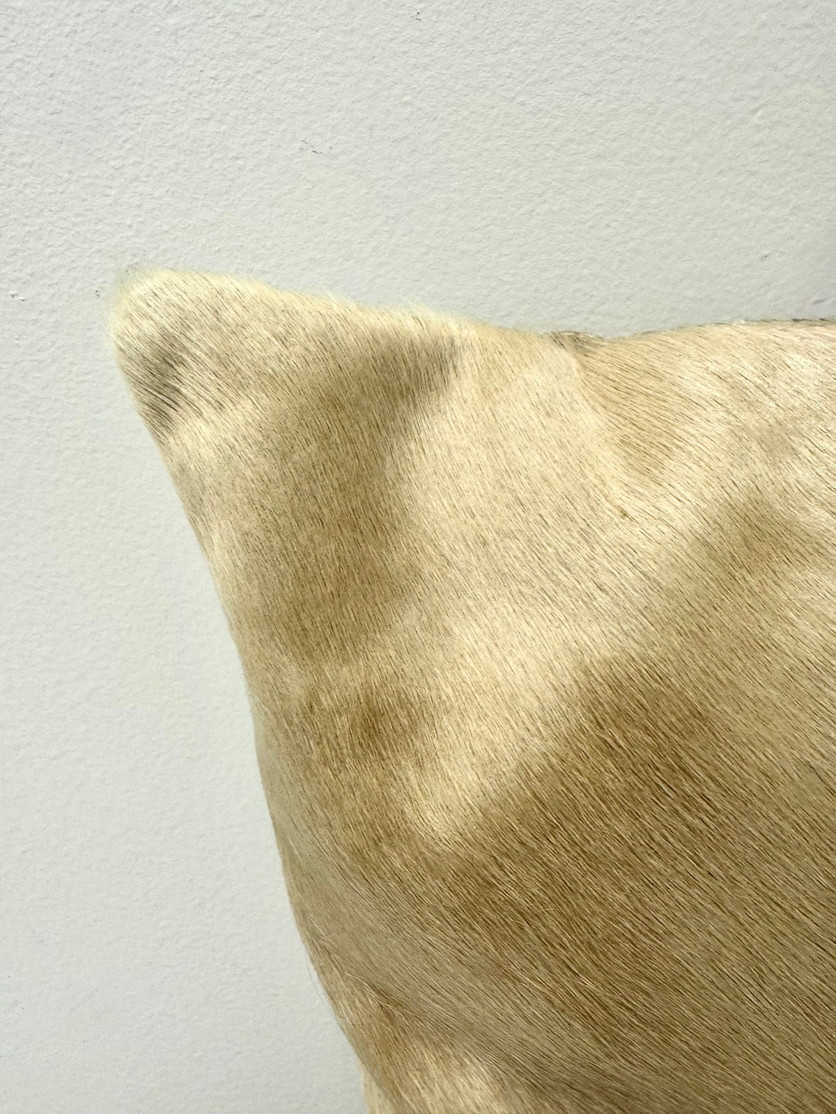 Light Tan Horsehair 19" Pillow
