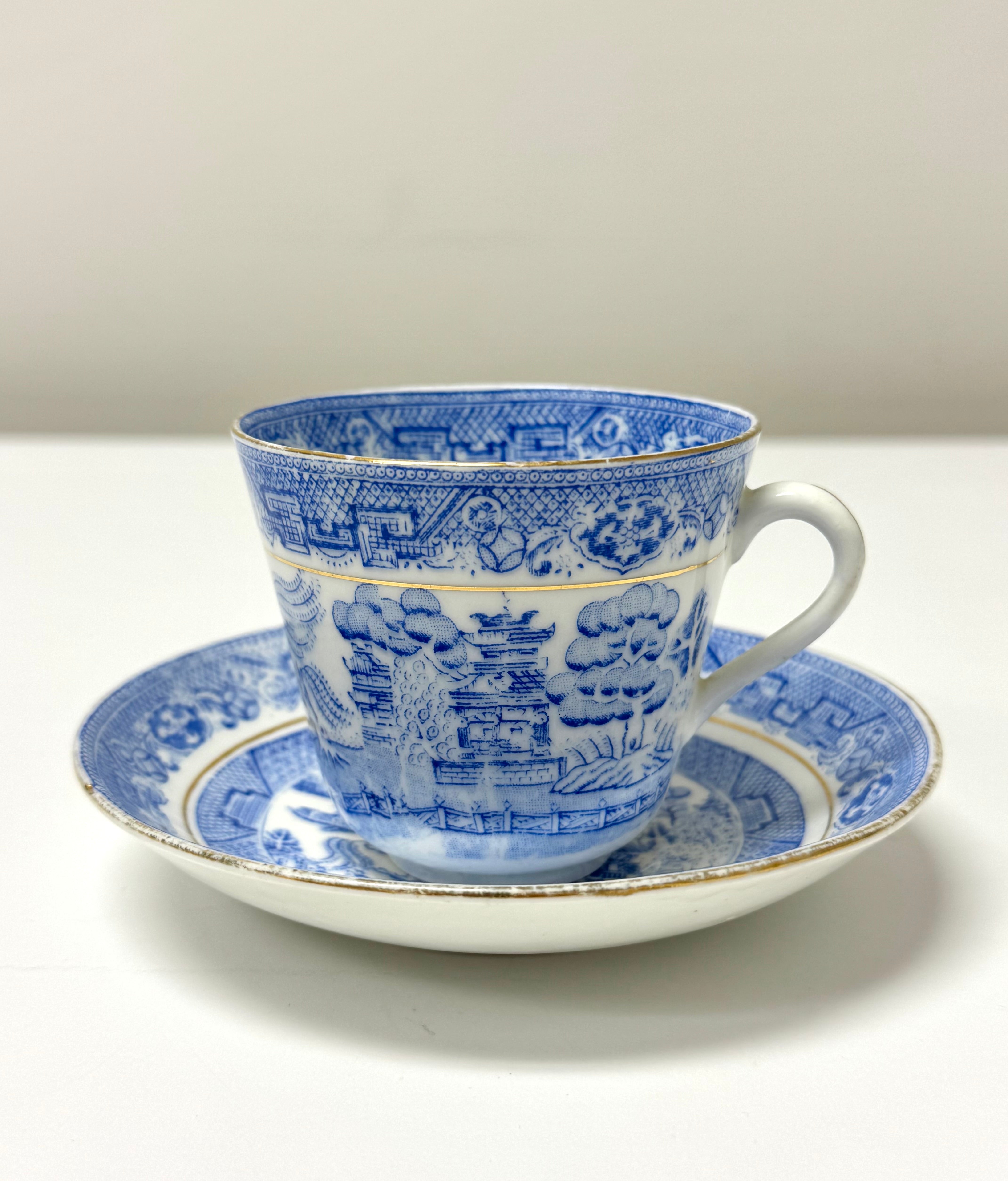 Vintage SAMUEL RADFORD 'Blue Willow' Cup & Saucer