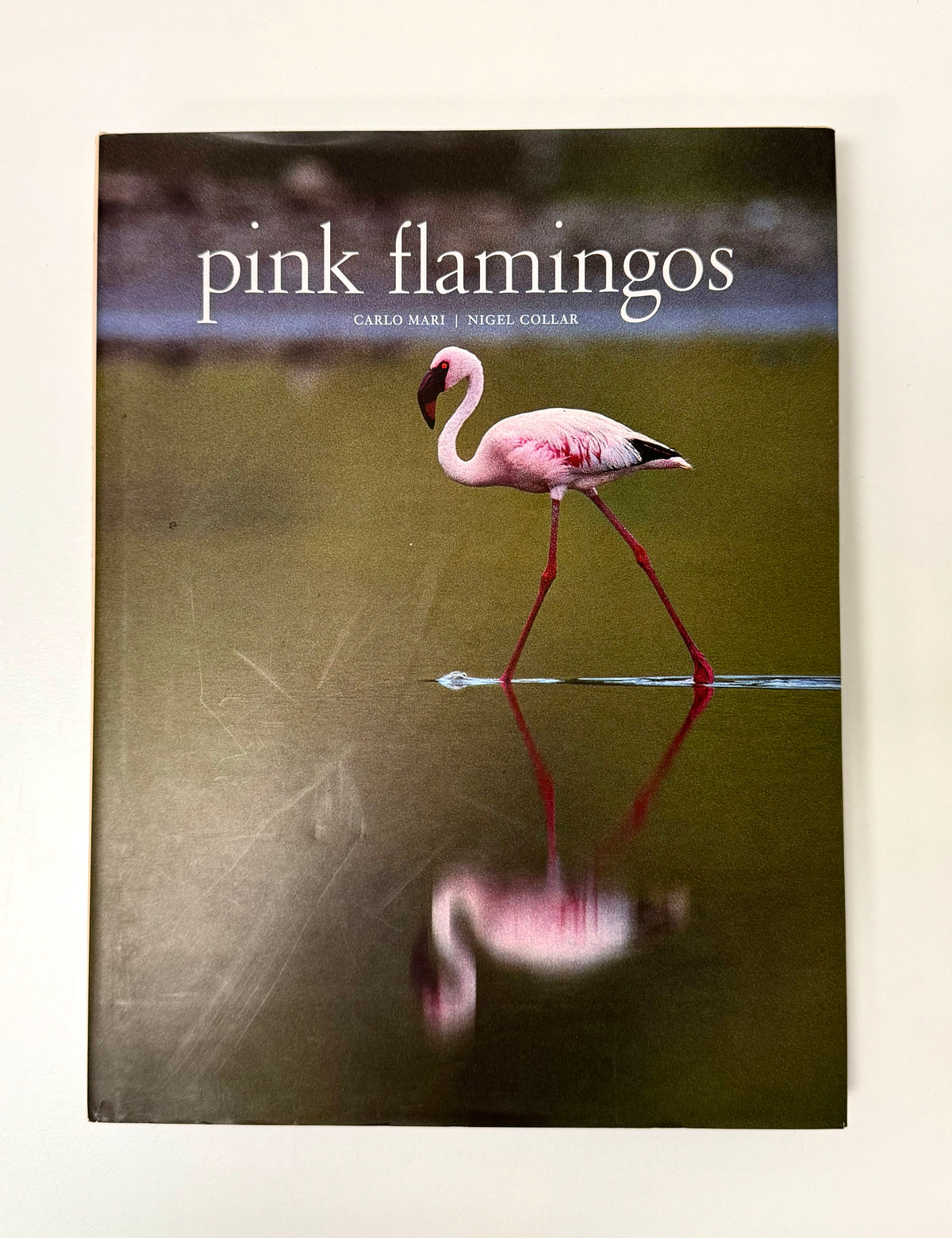 'Pink Flamingos' Hardcover