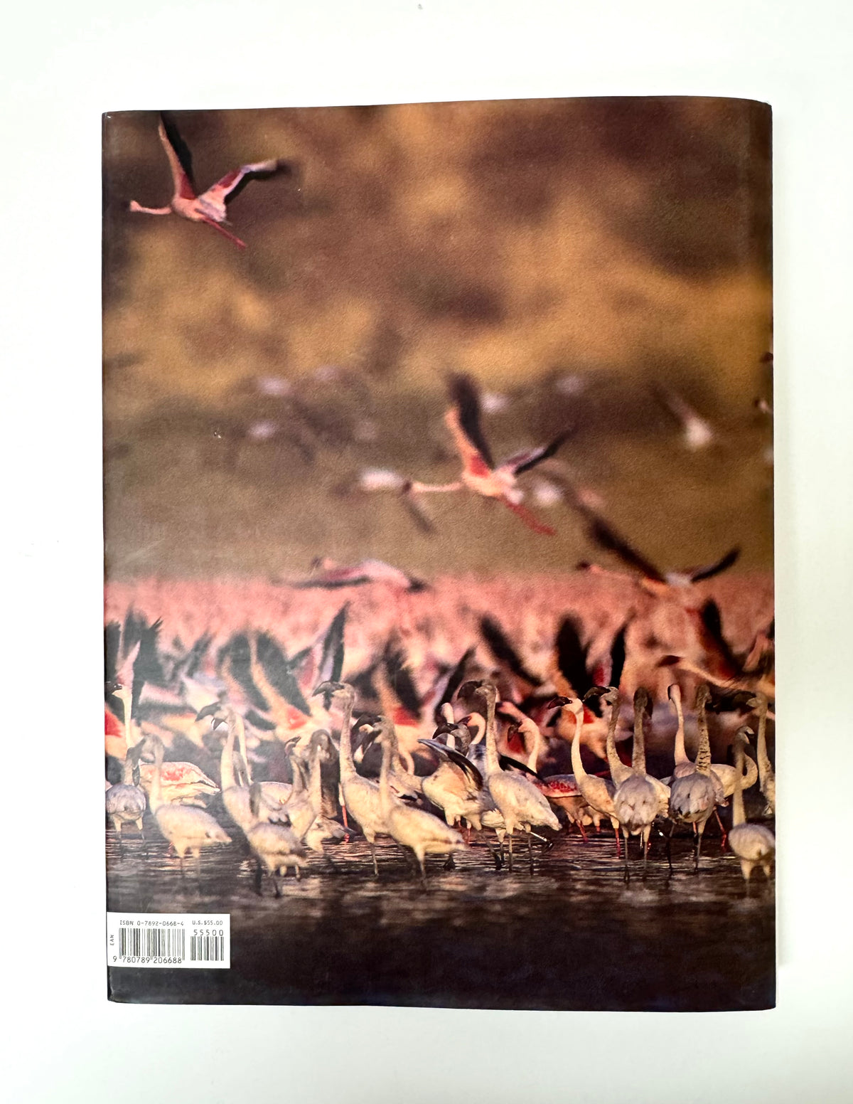 'Pink Flamingos' Hardcover