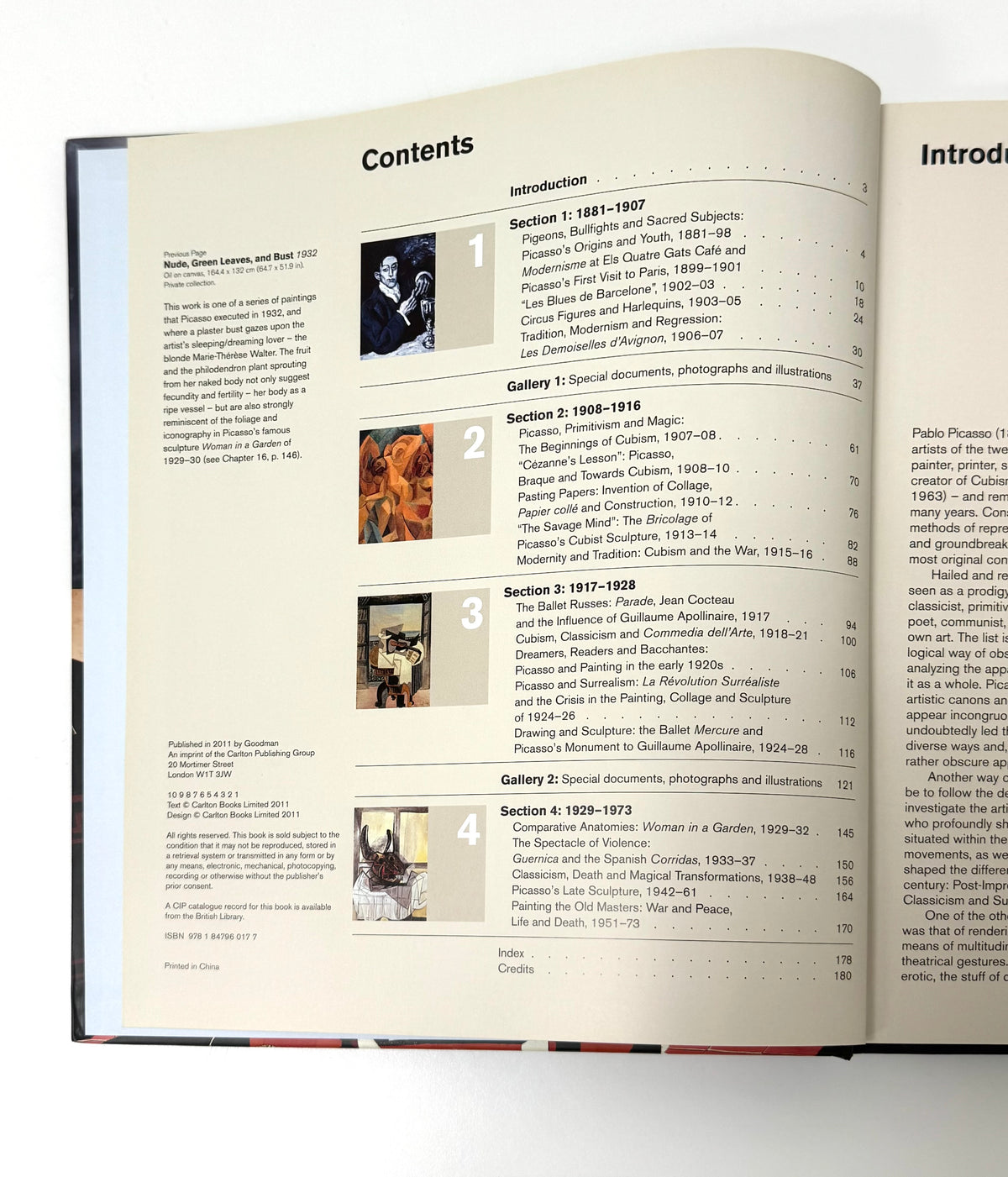 'Picasso's World' Hardcover