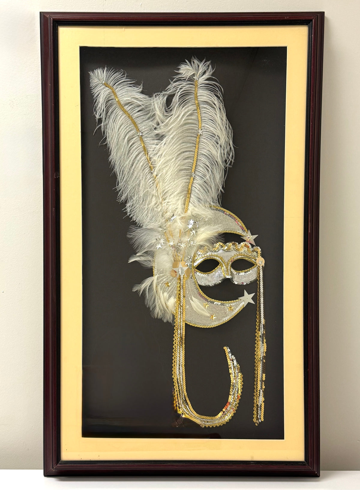 Carnival Mask Shadowbox