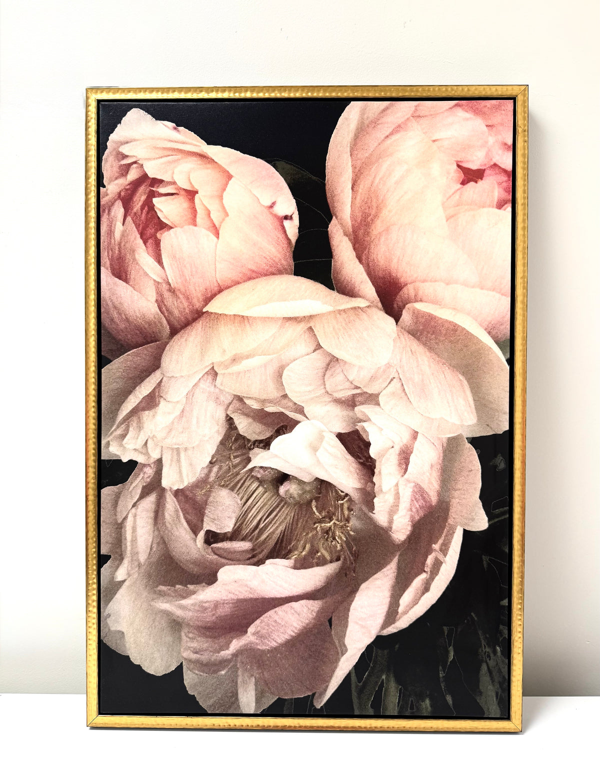 'Pink Peonies II' Canvas Art