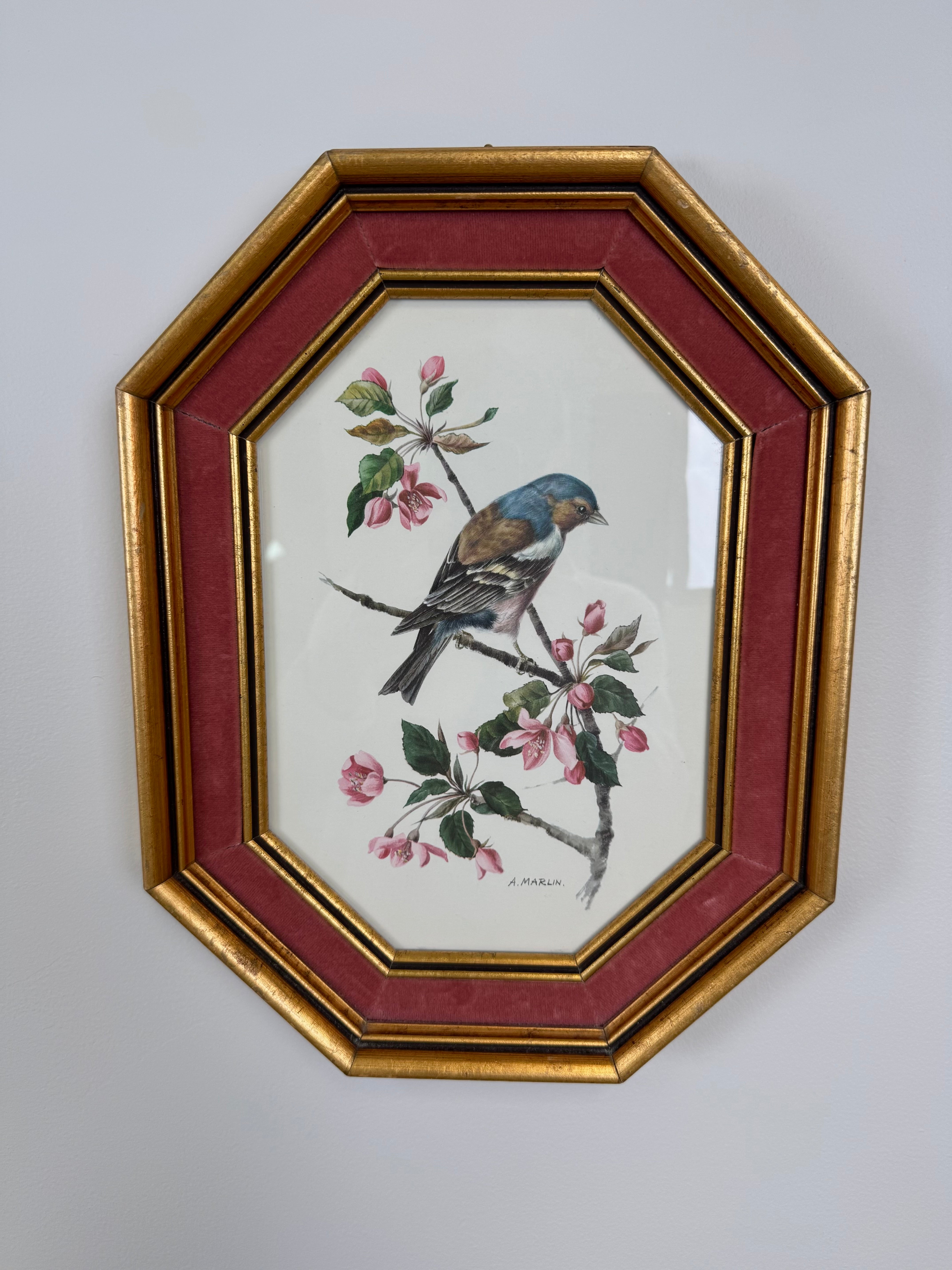 Vintage A. Marlin Chaffinch Bird Print