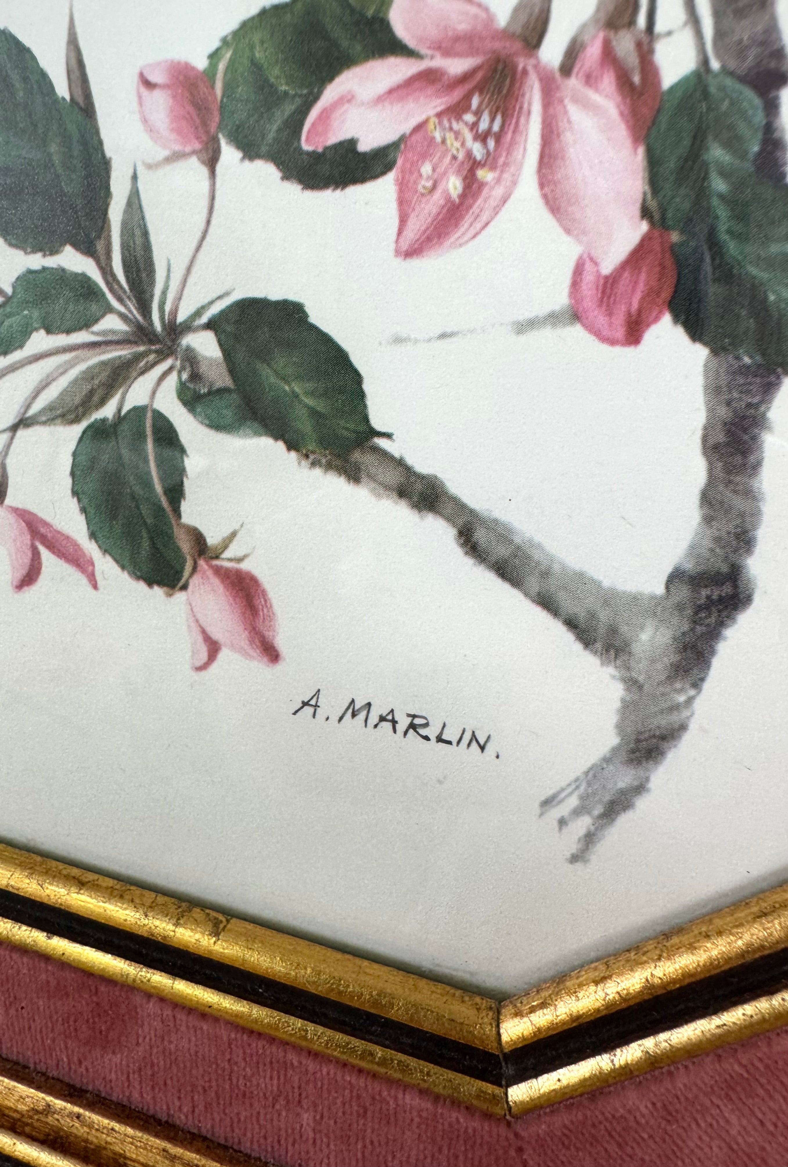 Vintage A. Marlin Chaffinch Bird Print