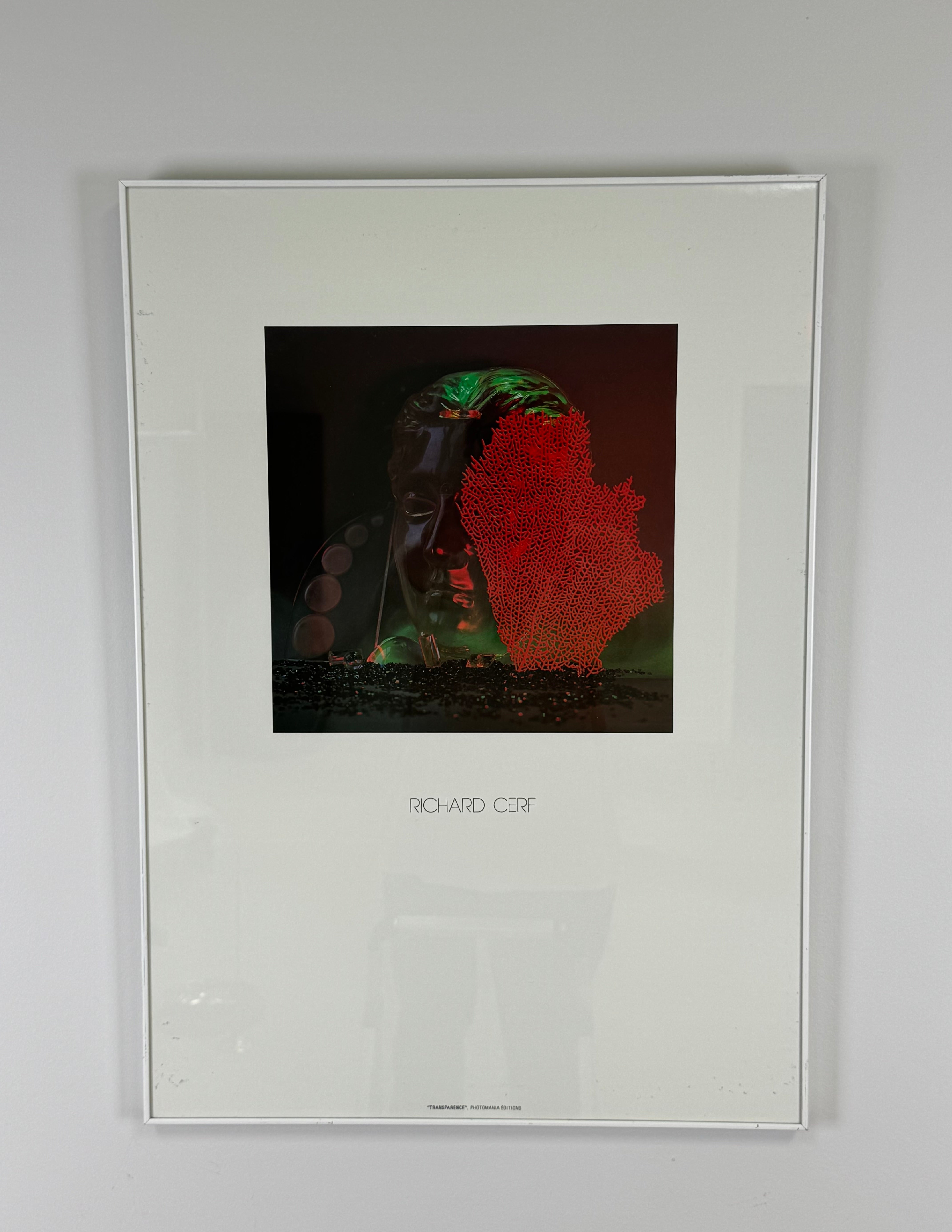 'Transparence' Photography Print