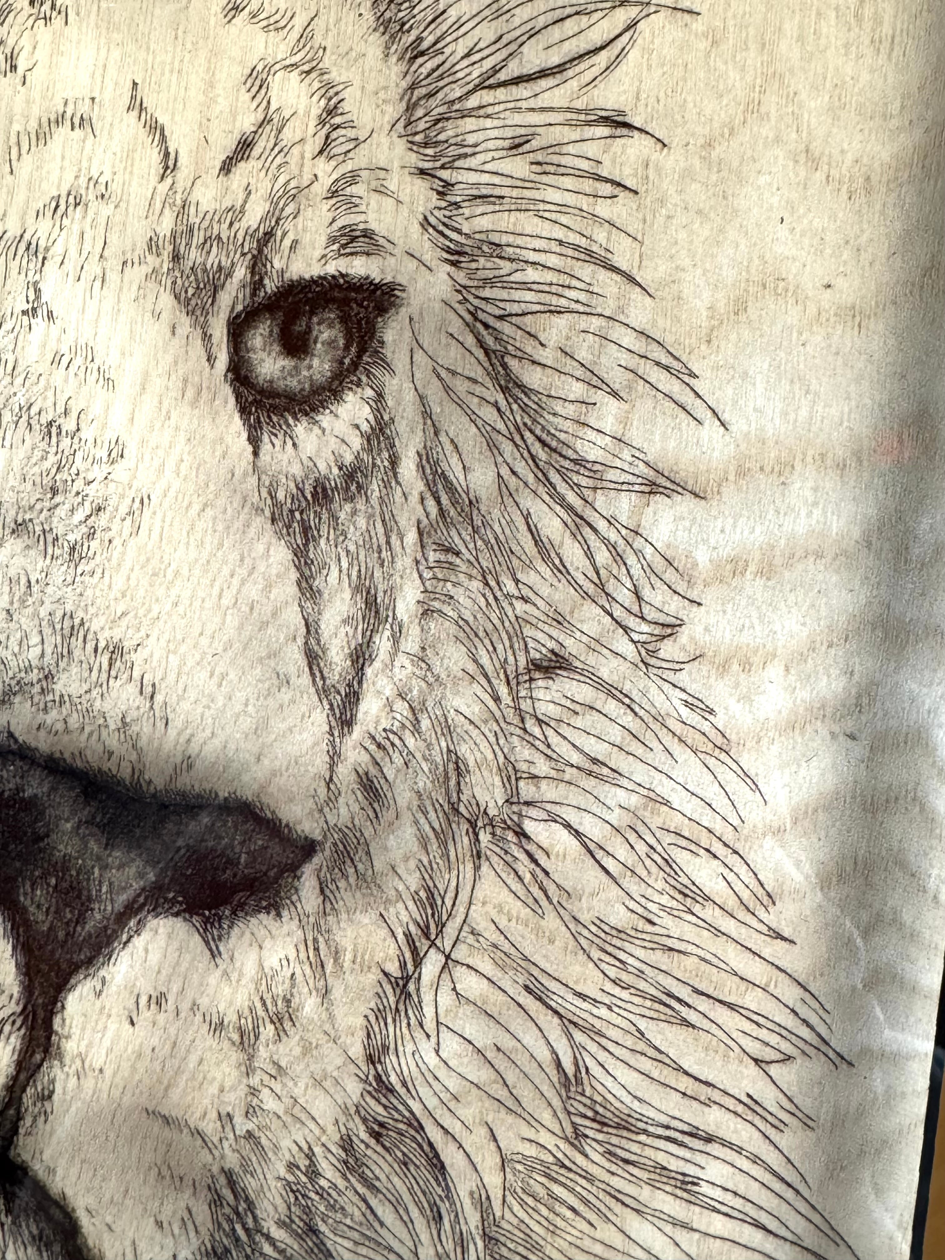 Vintage Lion Photograph on Glass