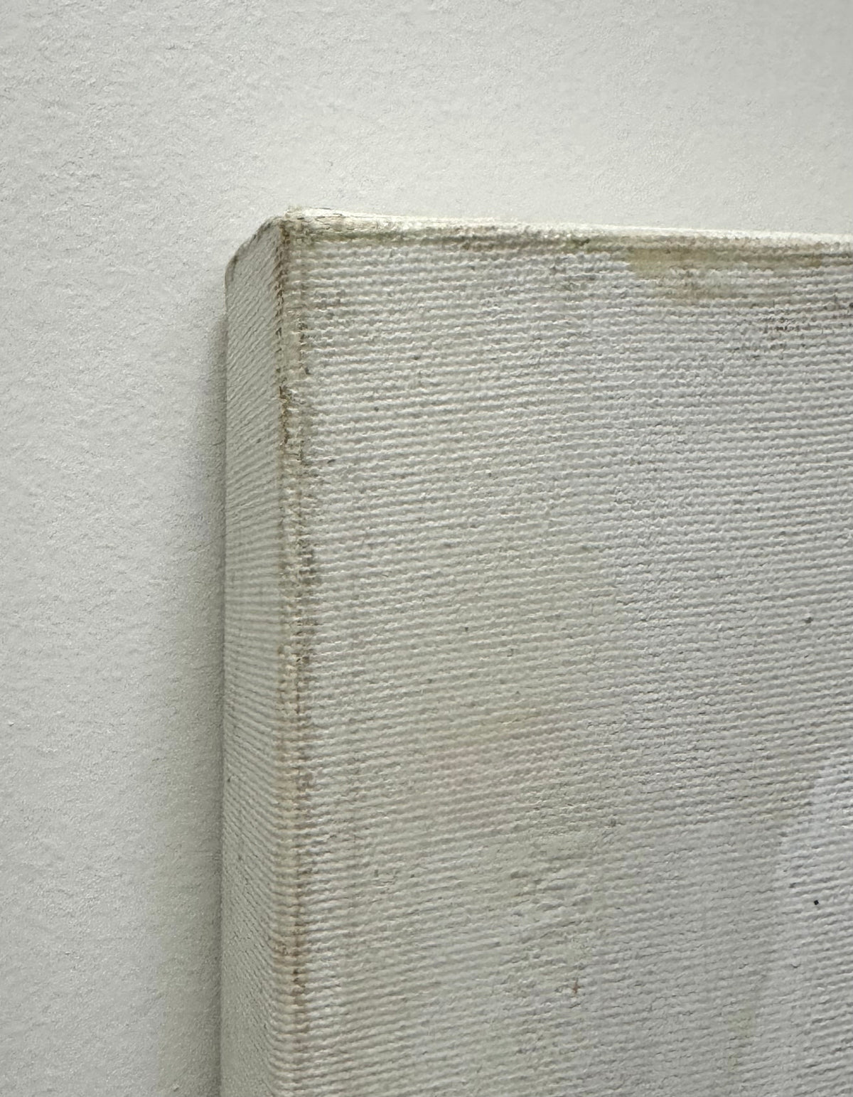 'Pelican on Piling' Canvas Art