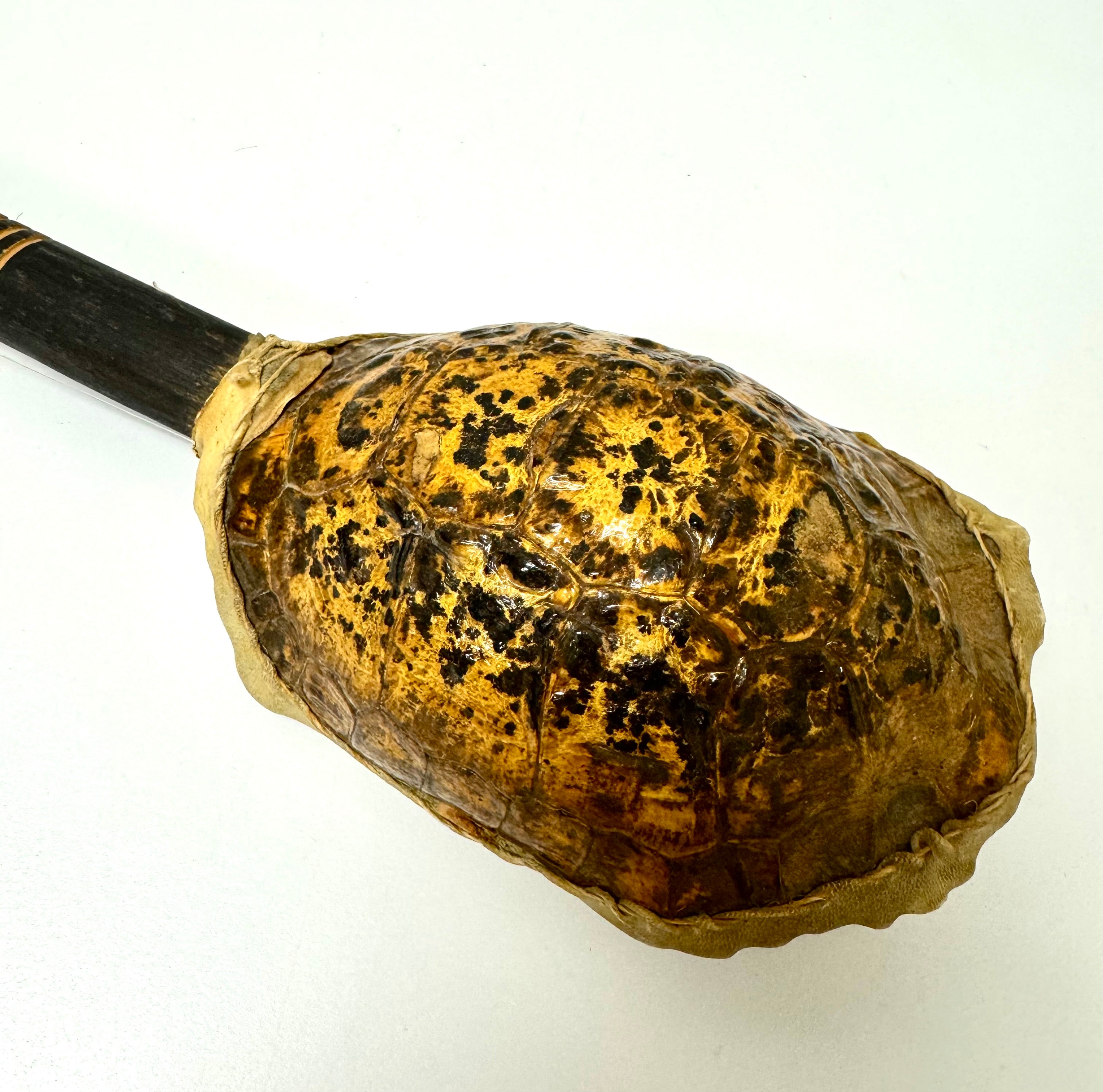 Vintage African Turtle Shell Stringed Instrument