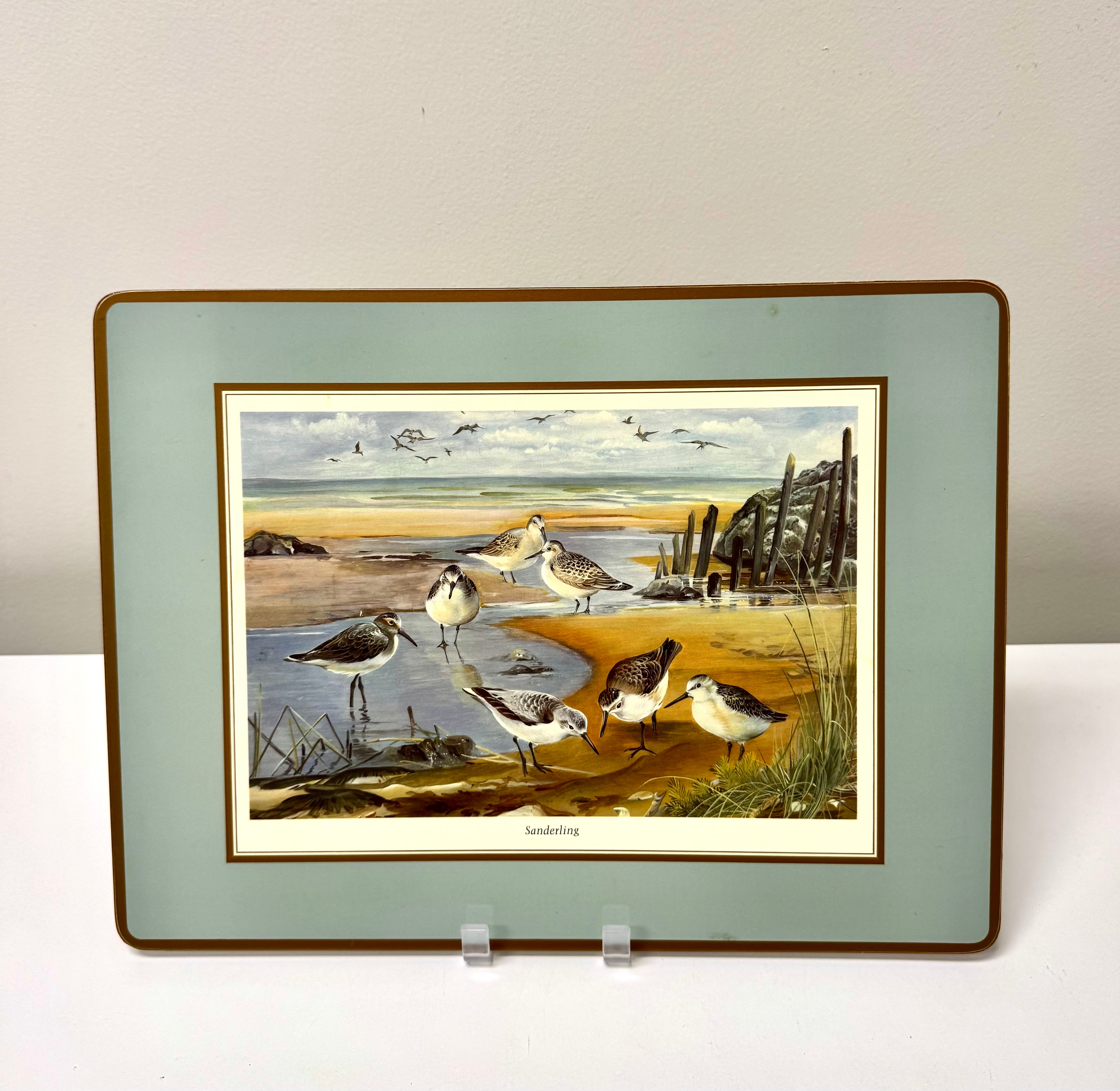 PIMPERNEL 'Birds of New York' Placemats Set of 4