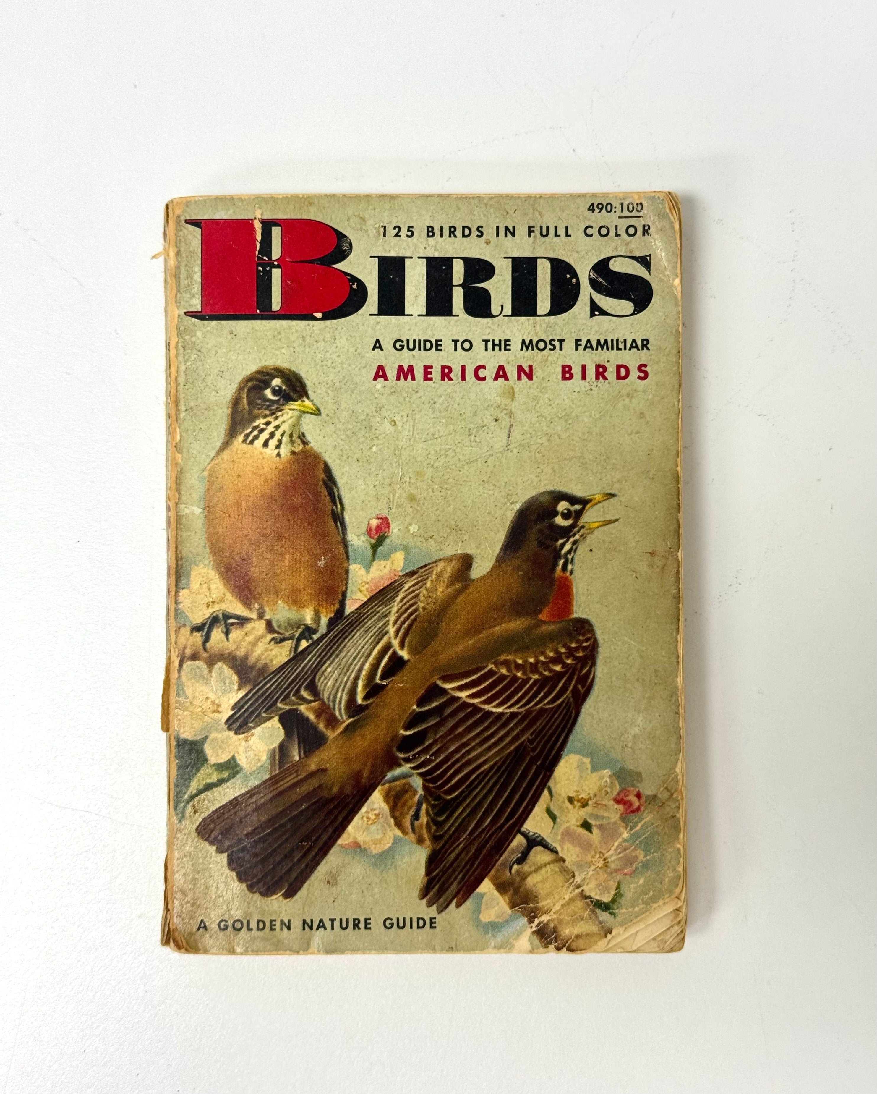 Vintage 'Birds - A Golden Nature Guide' Softcover