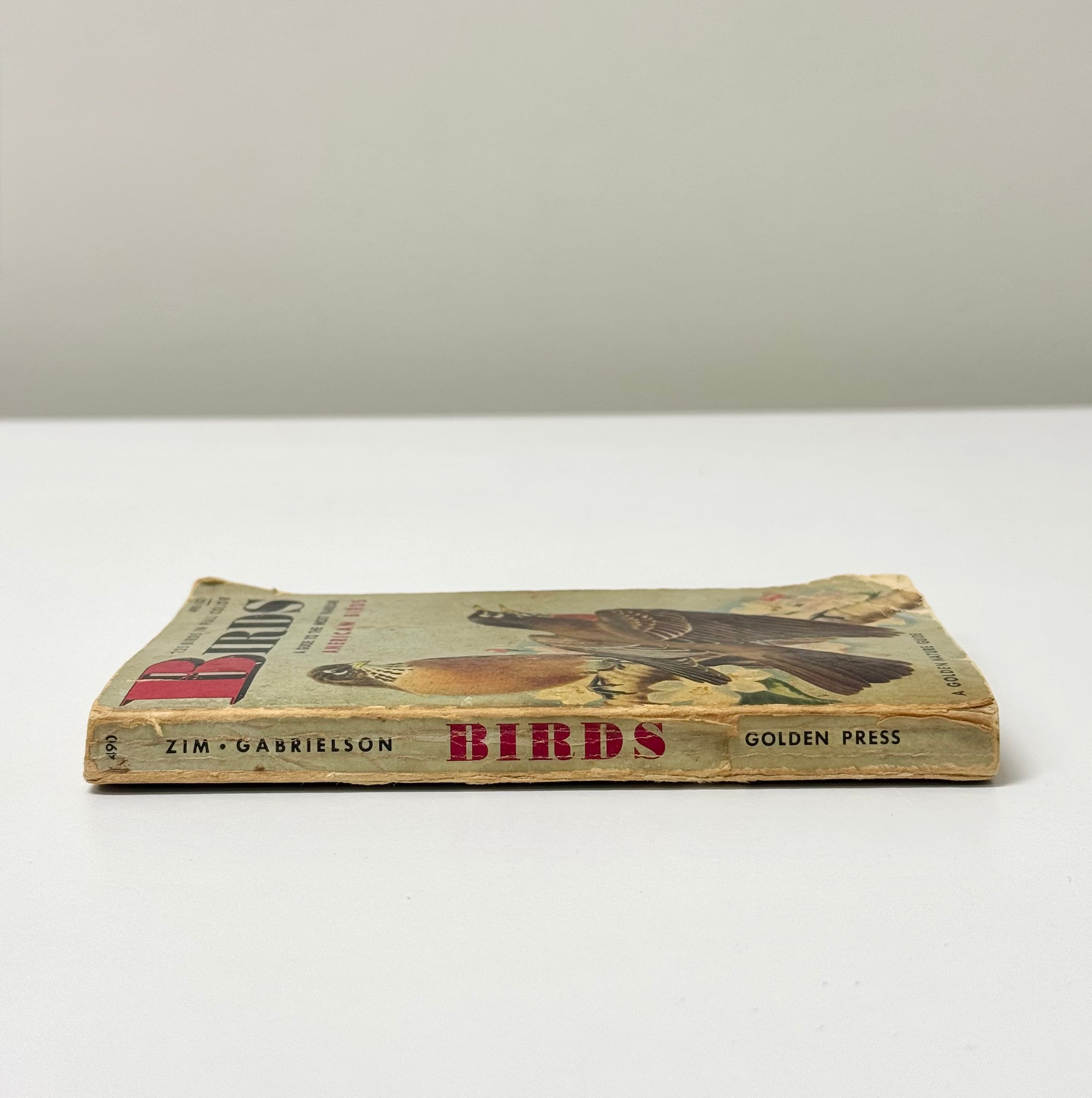 Vintage 'Birds - A Golden Nature Guide' Softcover