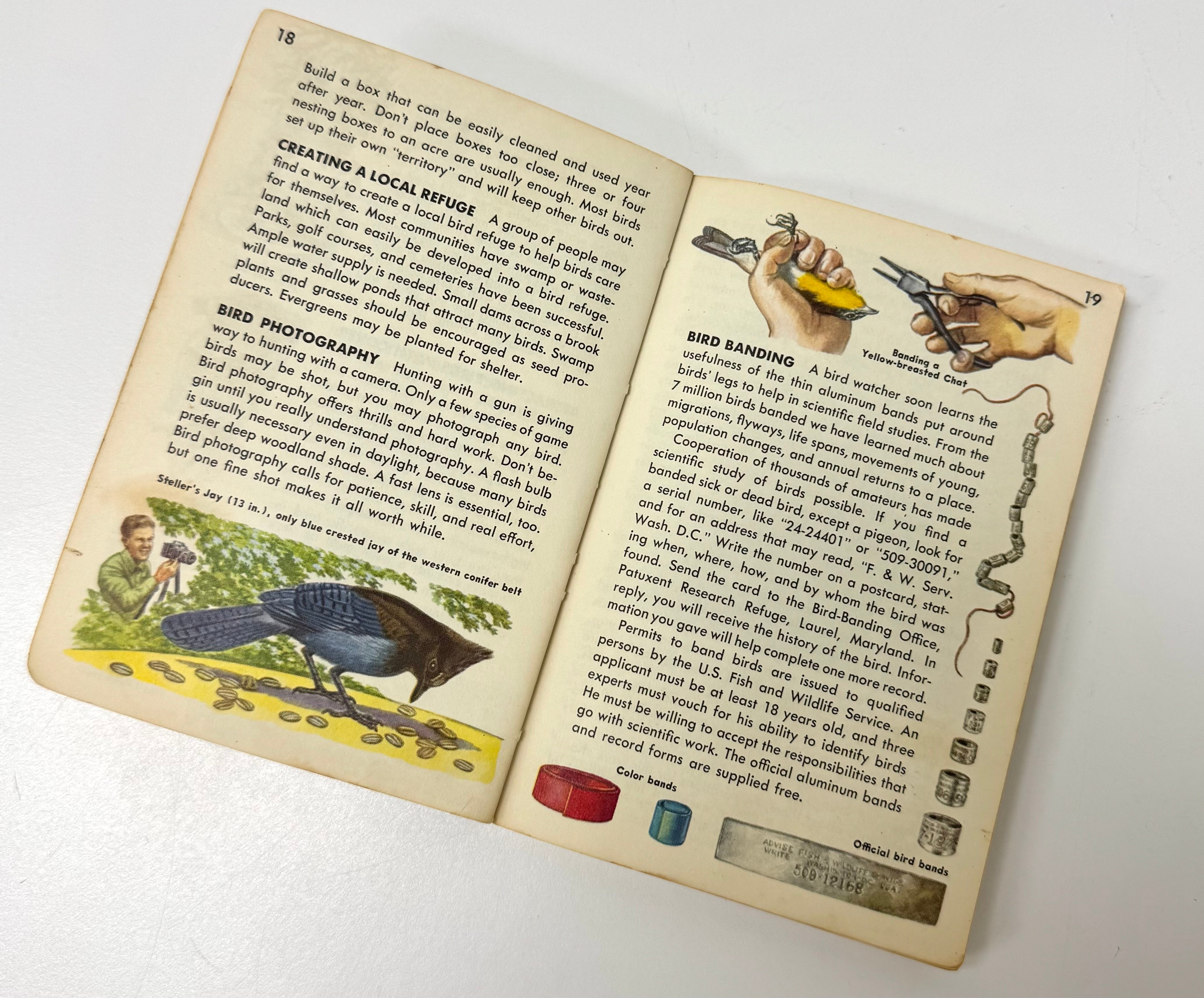 Vintage 'Birds - A Golden Nature Guide' Softcover