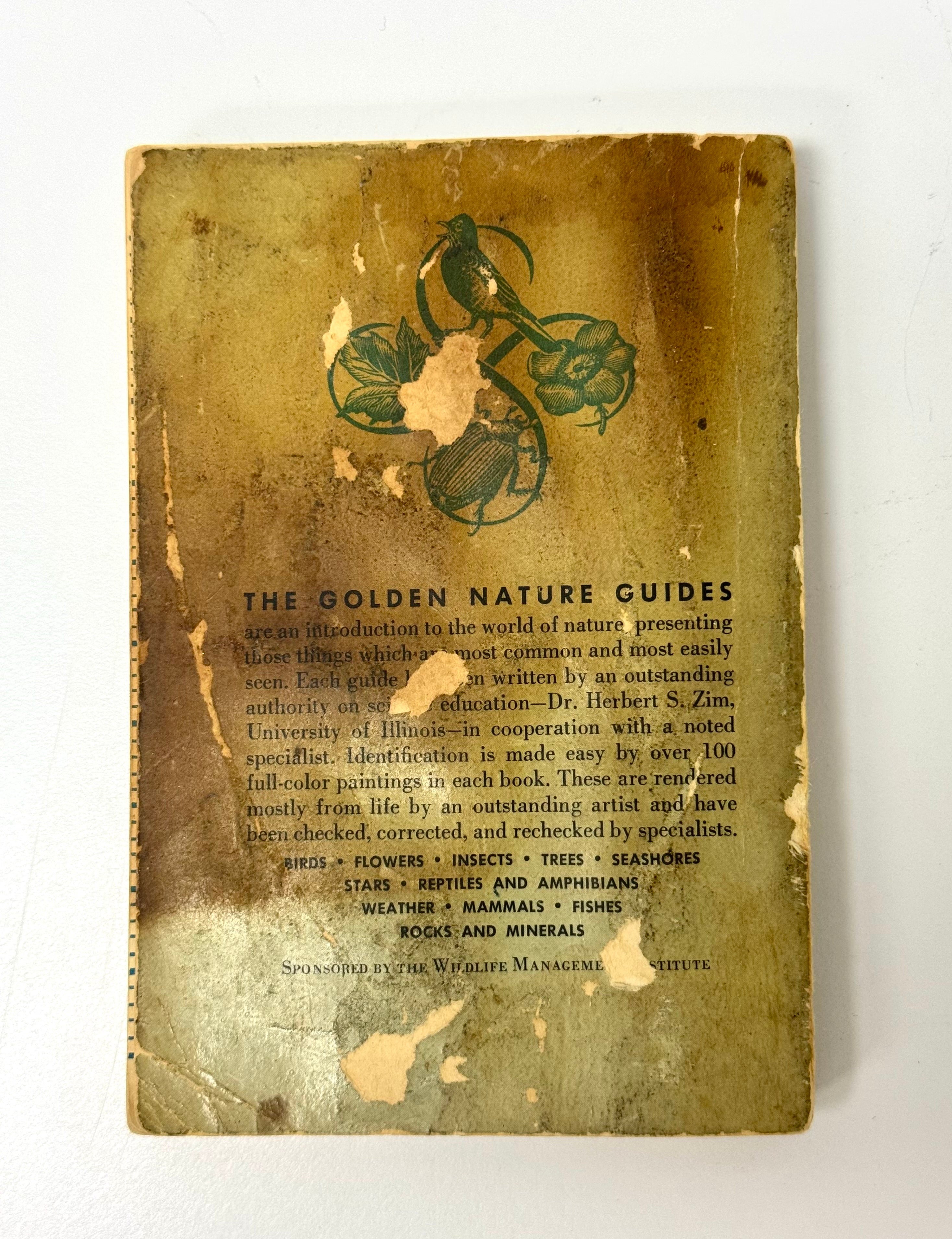 Vintage 'Birds - A Golden Nature Guide' Softcover