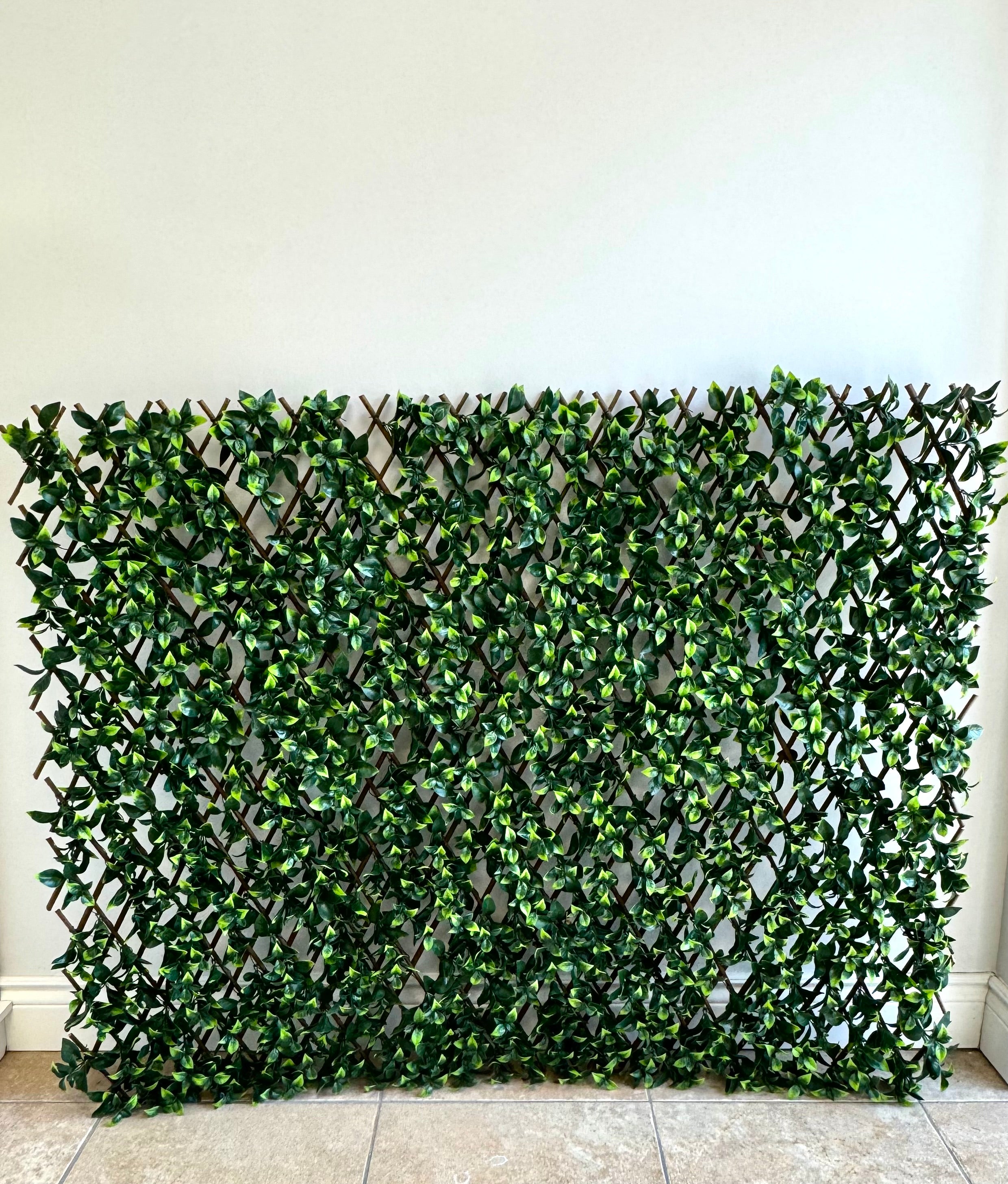 Gardenia Willow 40" x 80" Trellis Screen