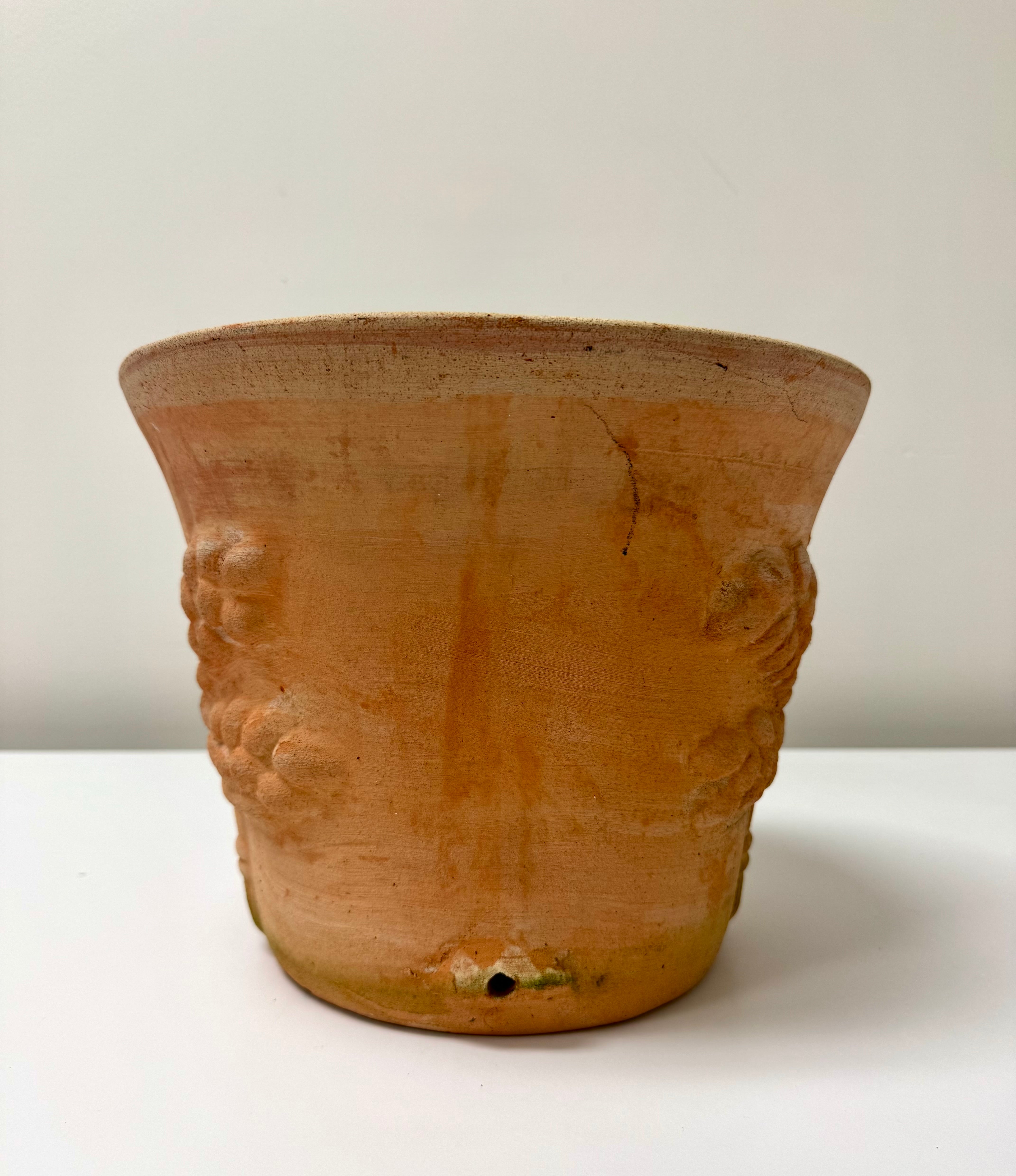 Grape Cluster Terracotta Pot