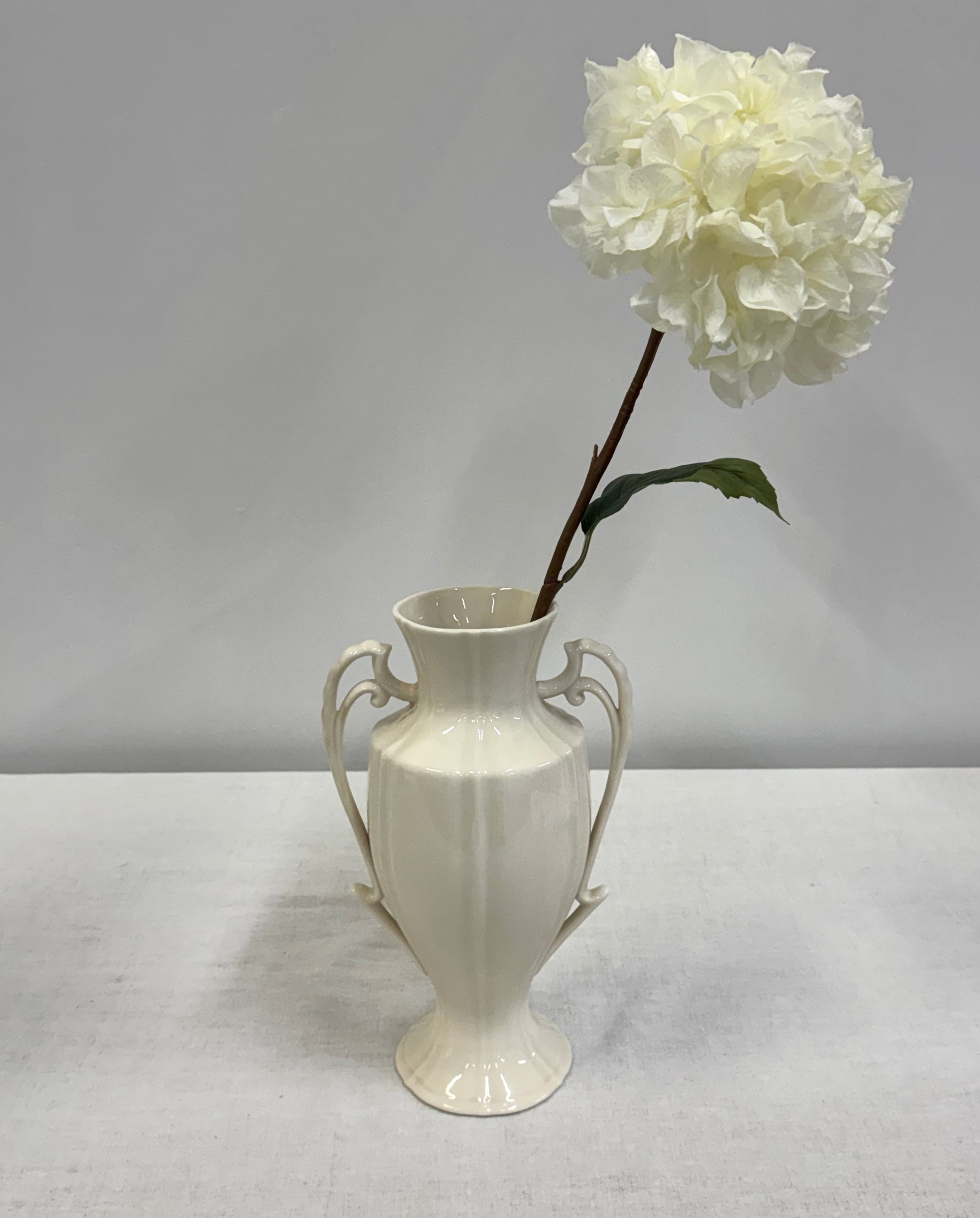 Cream Scalloped Urn Vase