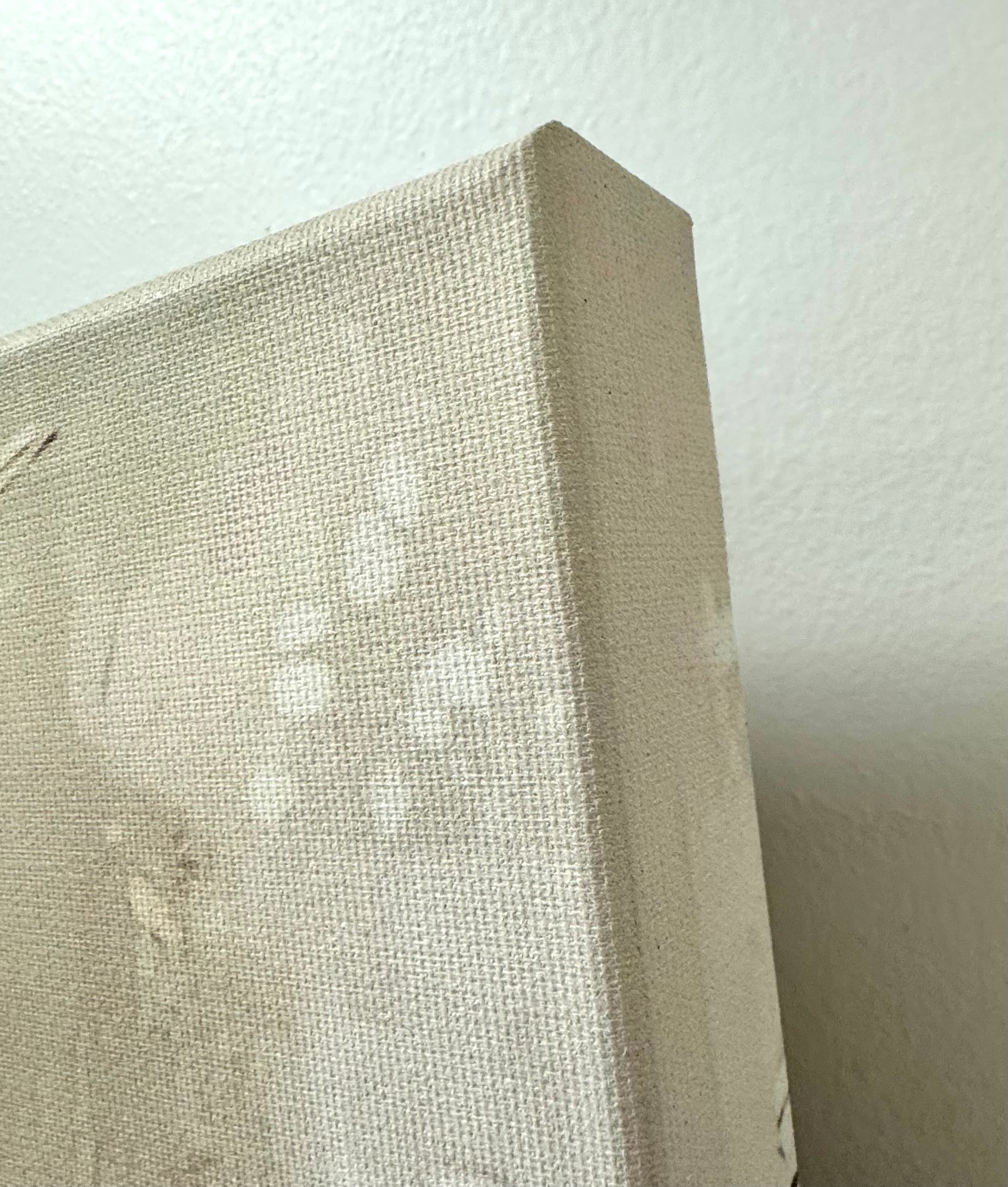 'Serene Forest' Canvas Art