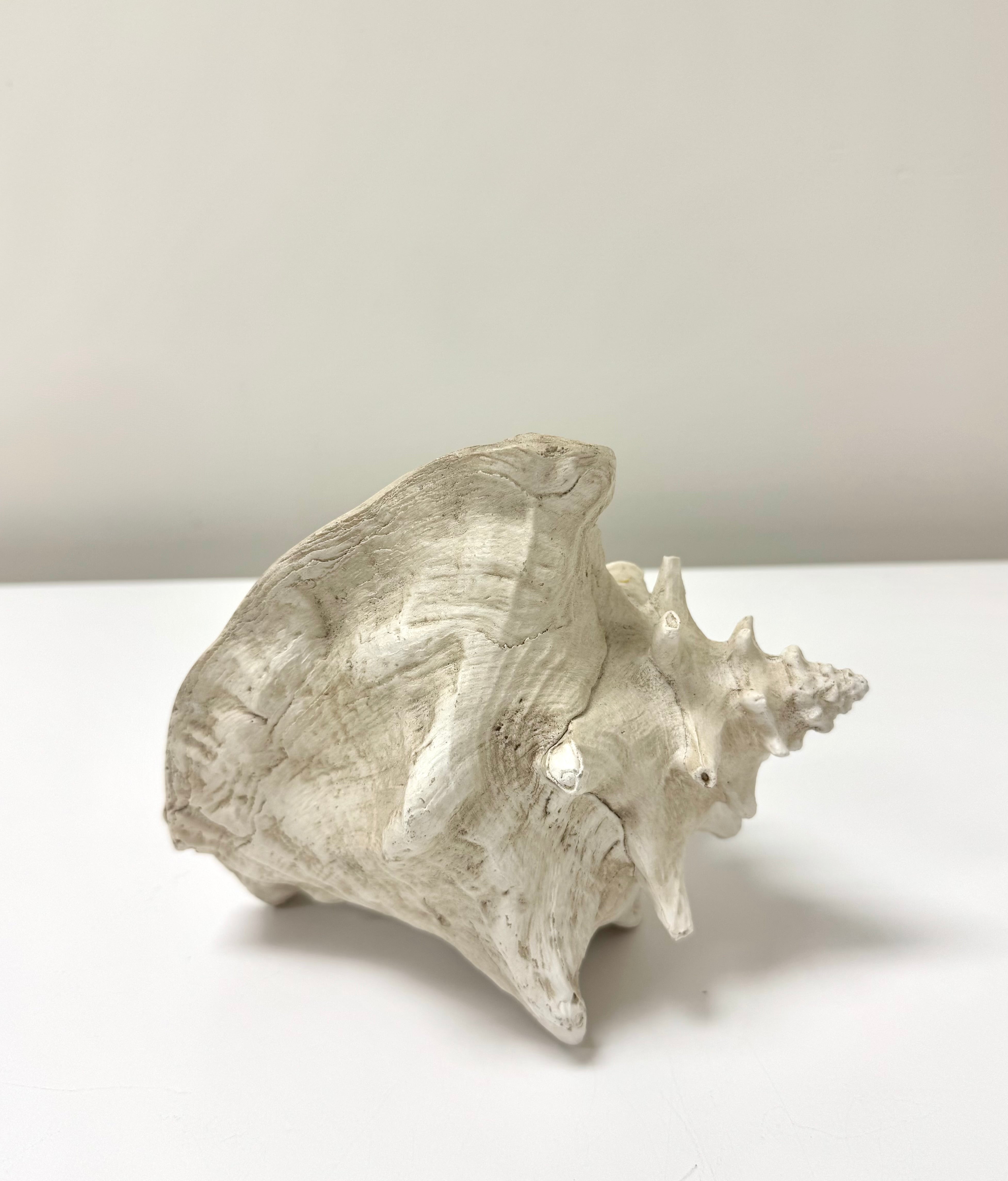 Resin Conch Shell