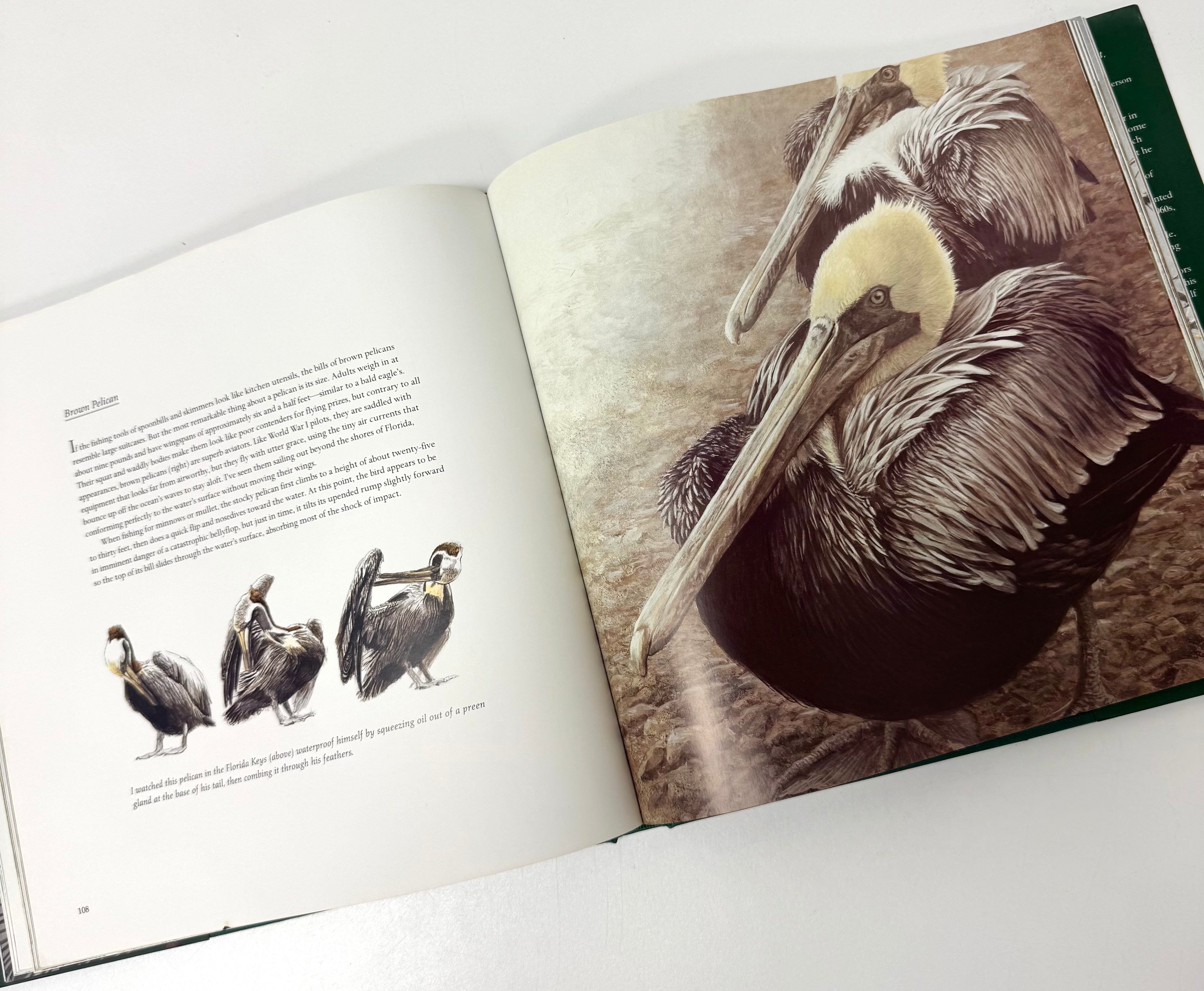 Robert Bateman 'Birds' Hardcover