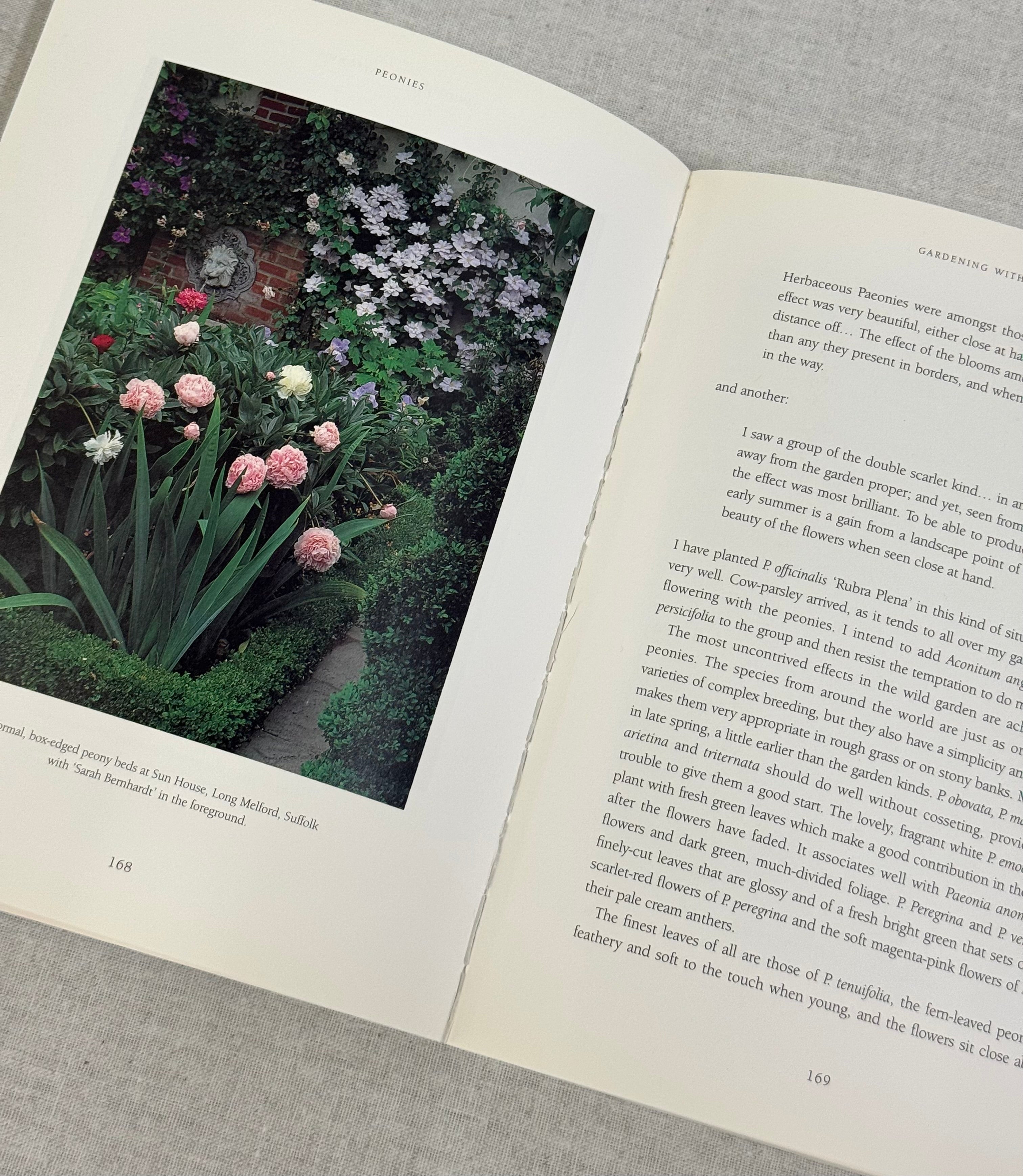 'Peonies The Imperial Flower' Softcover