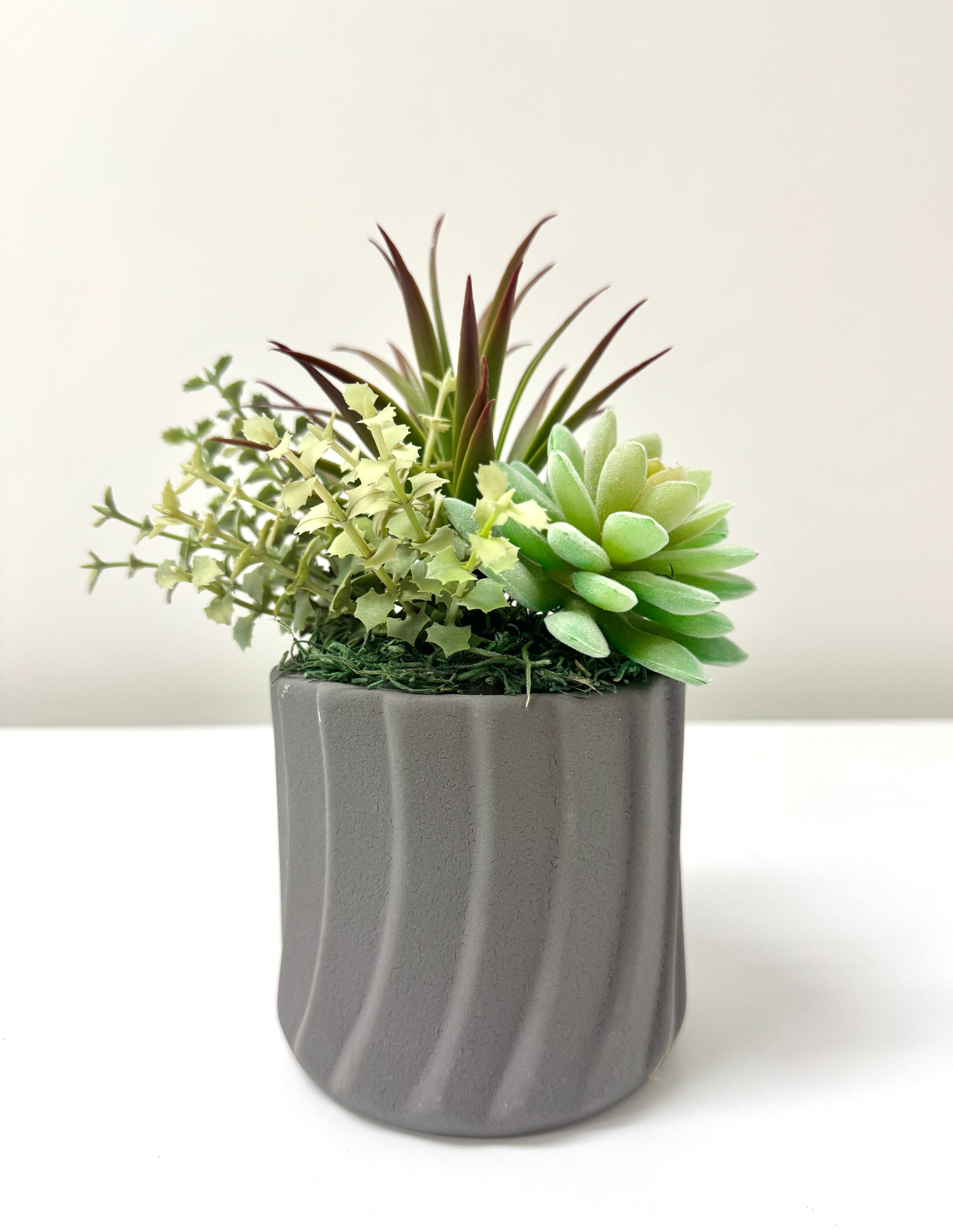 NEW Succulents in Gray Swirl Pot