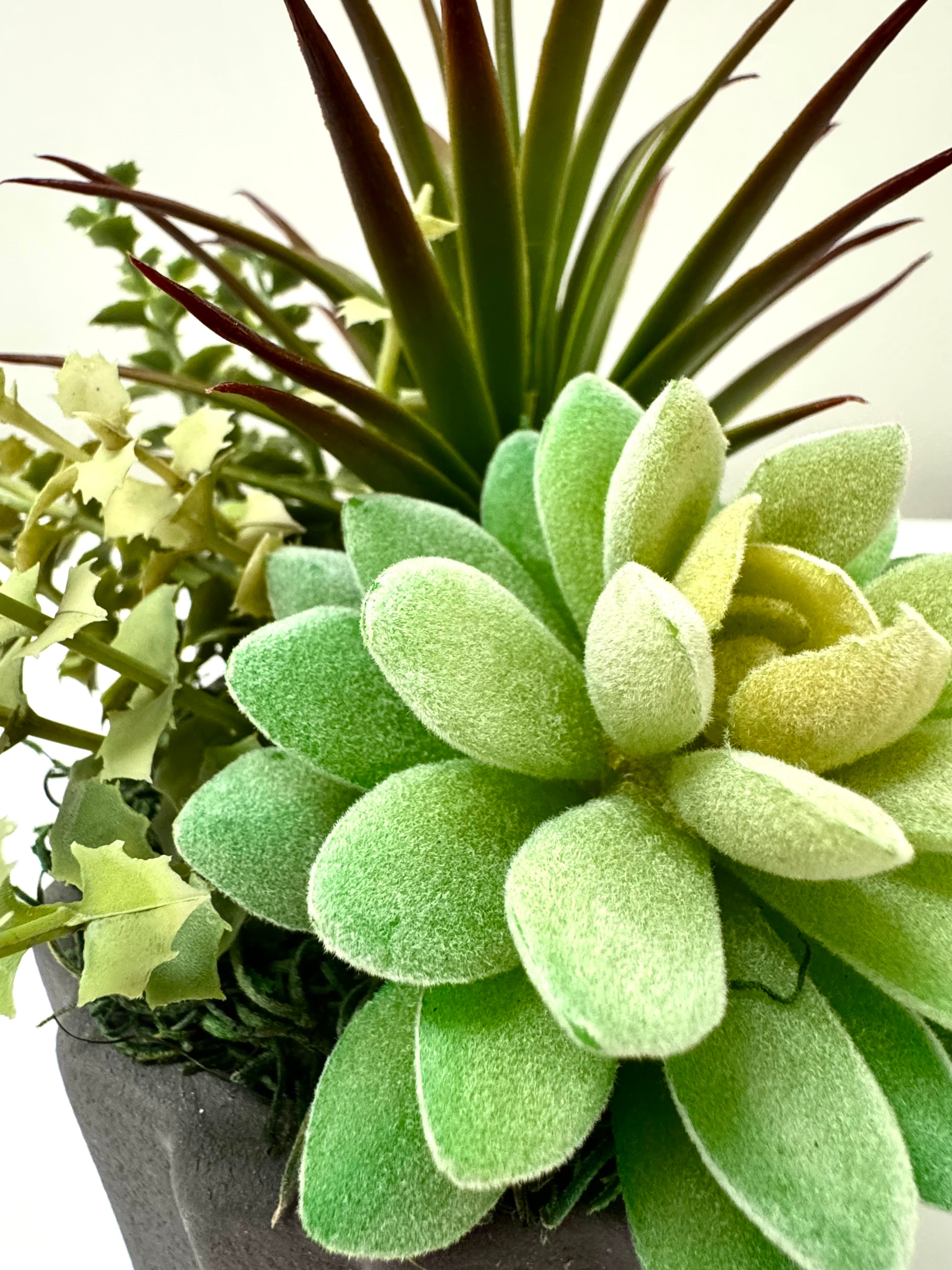 NEW Succulents in Gray Swirl Pot
