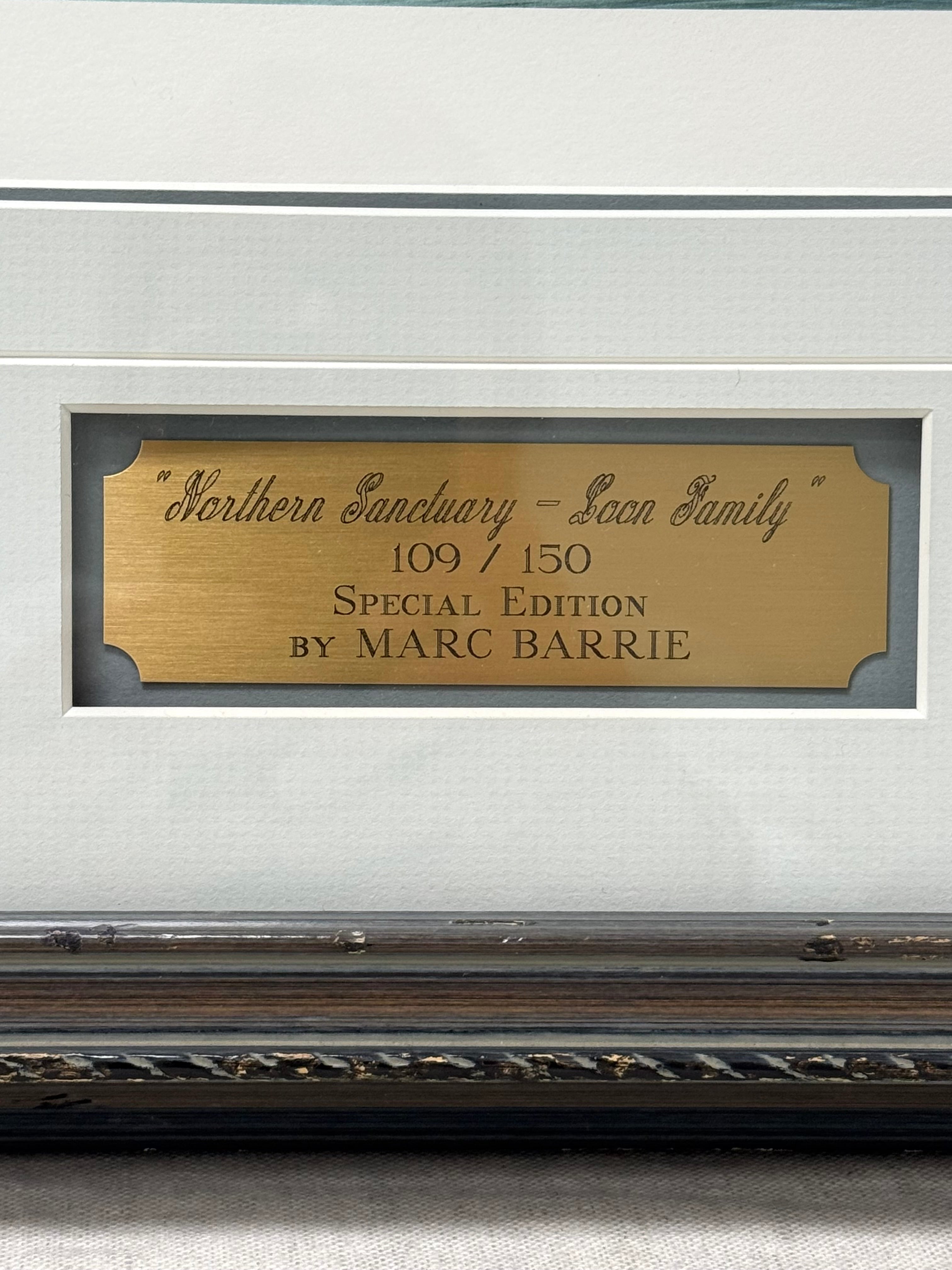 'Northern Sanctuary - Loon Family' Signed Print