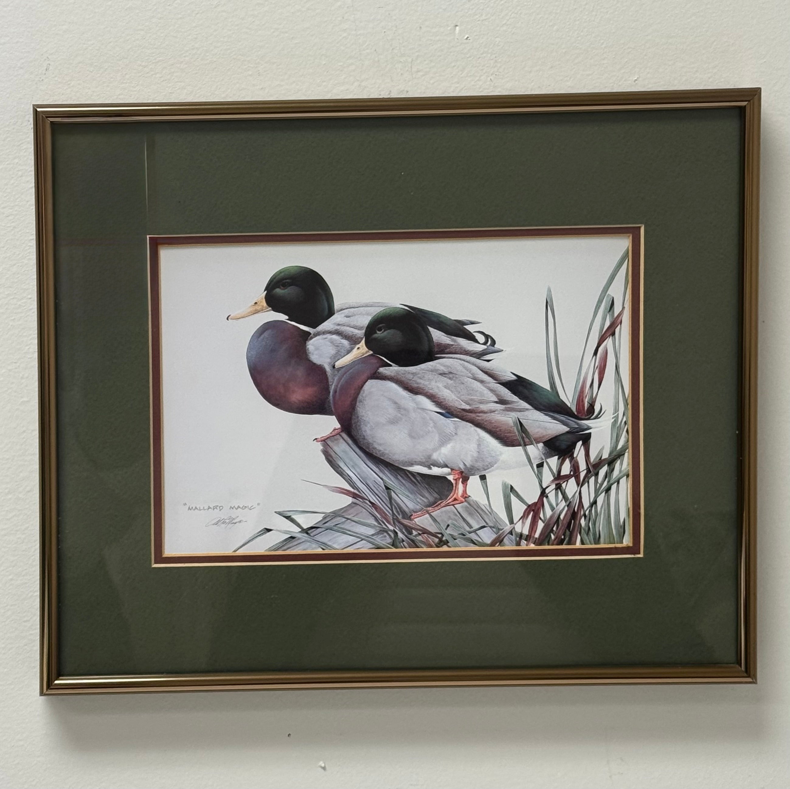 'Mallard Magic' Print
