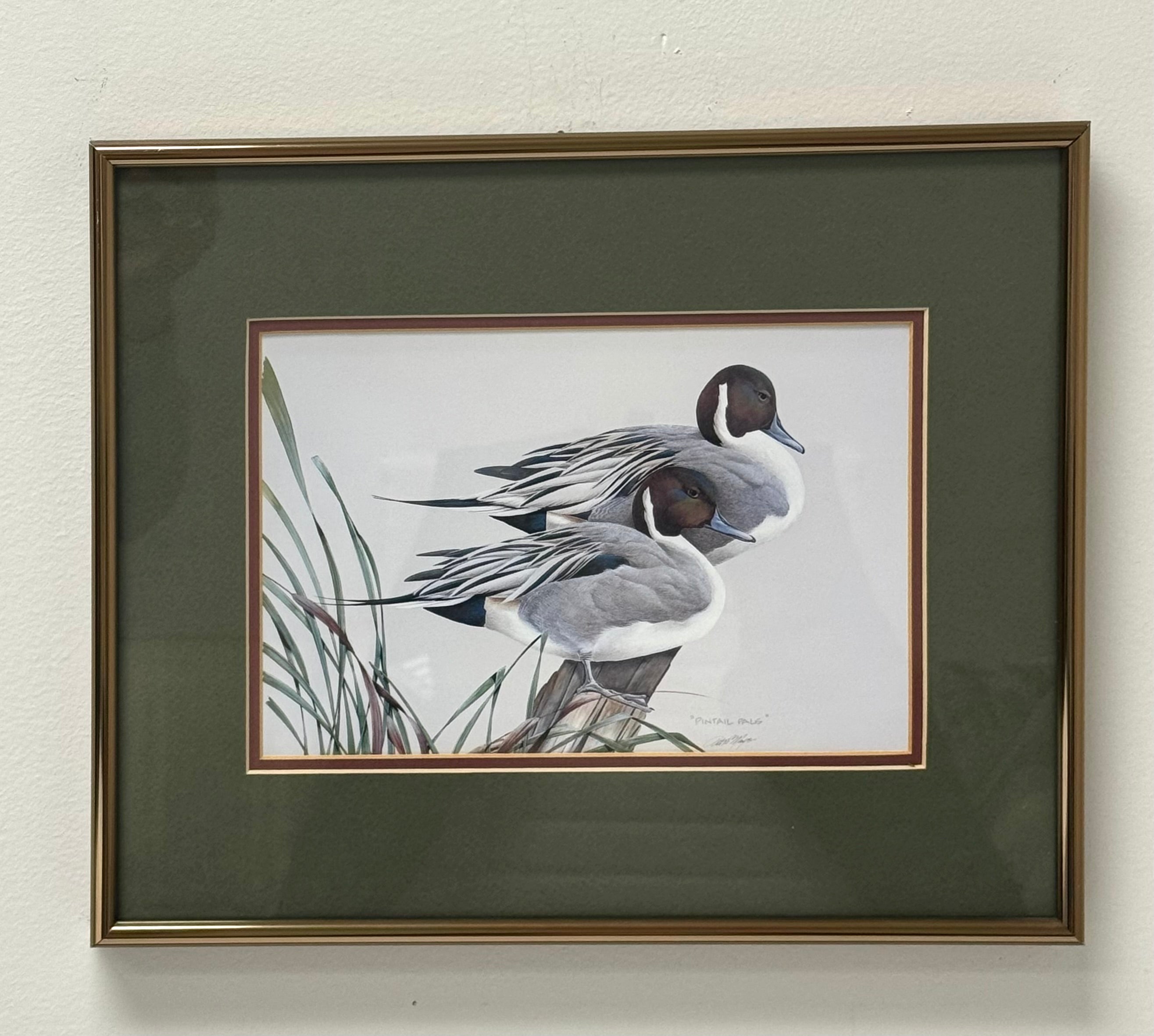 'Pintail Pals' Print