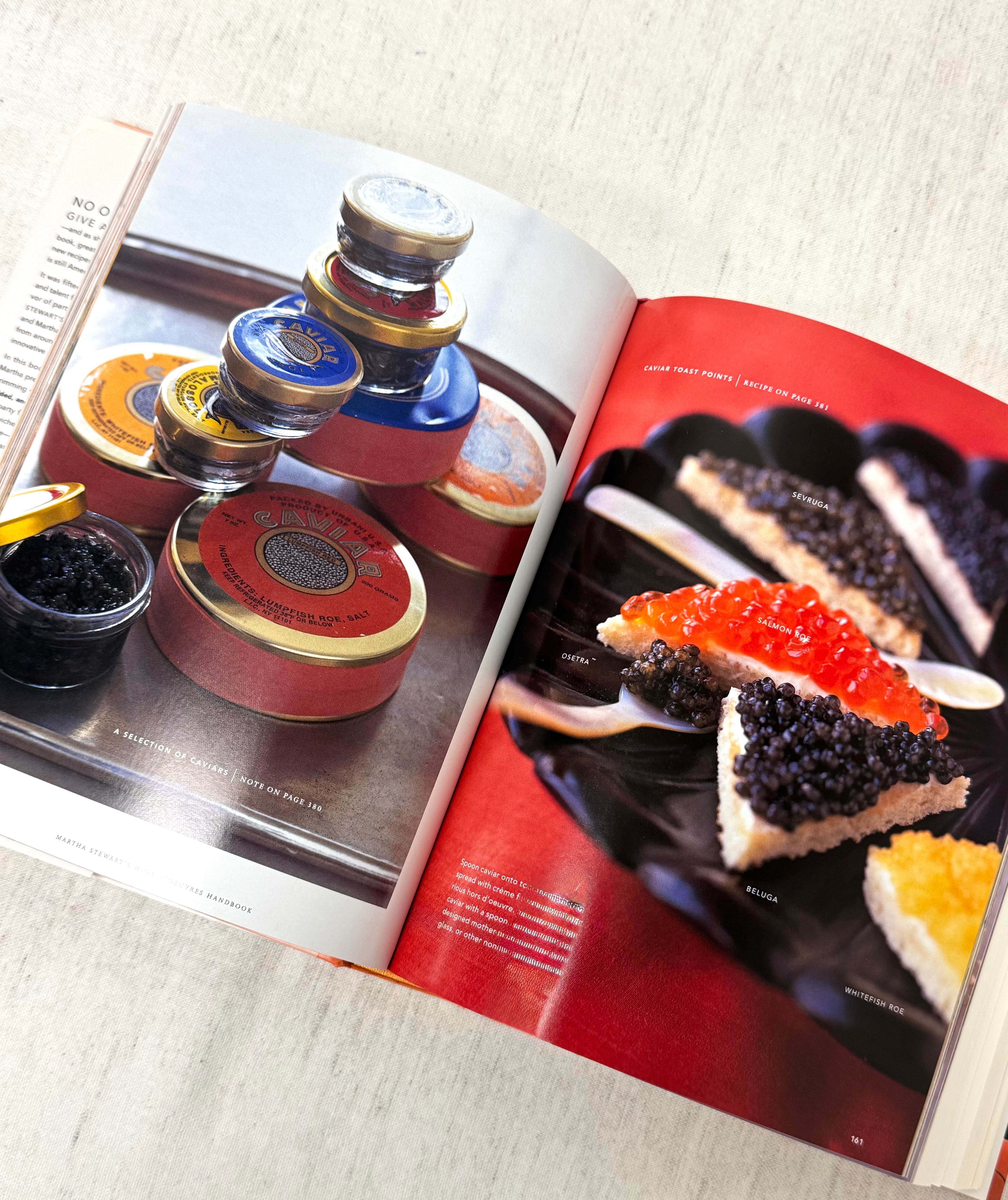 'Martha Stewart's Hors d'Oeuvres Handbook' Hardcover (First Edition)