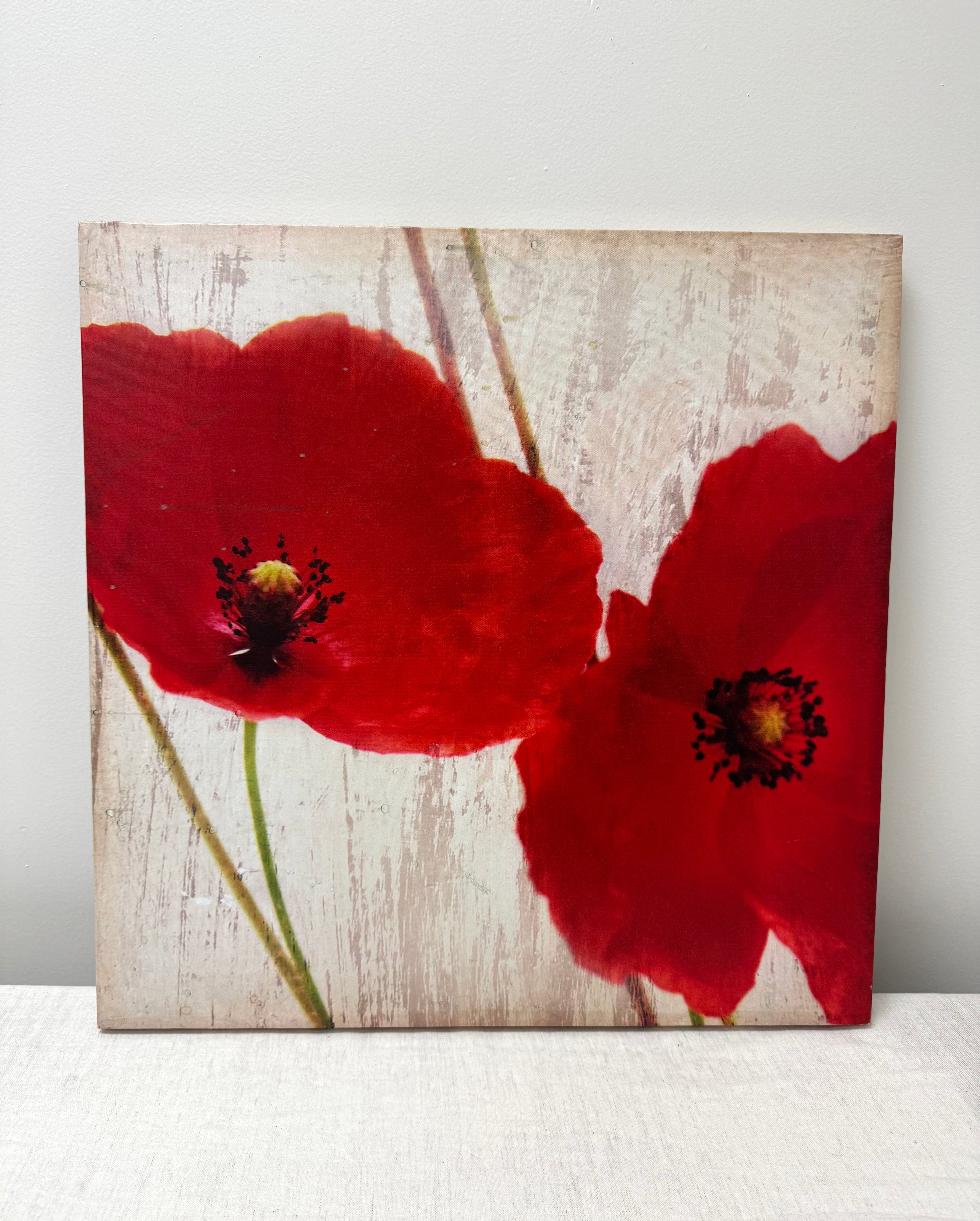 'Poppies' Canvas Art