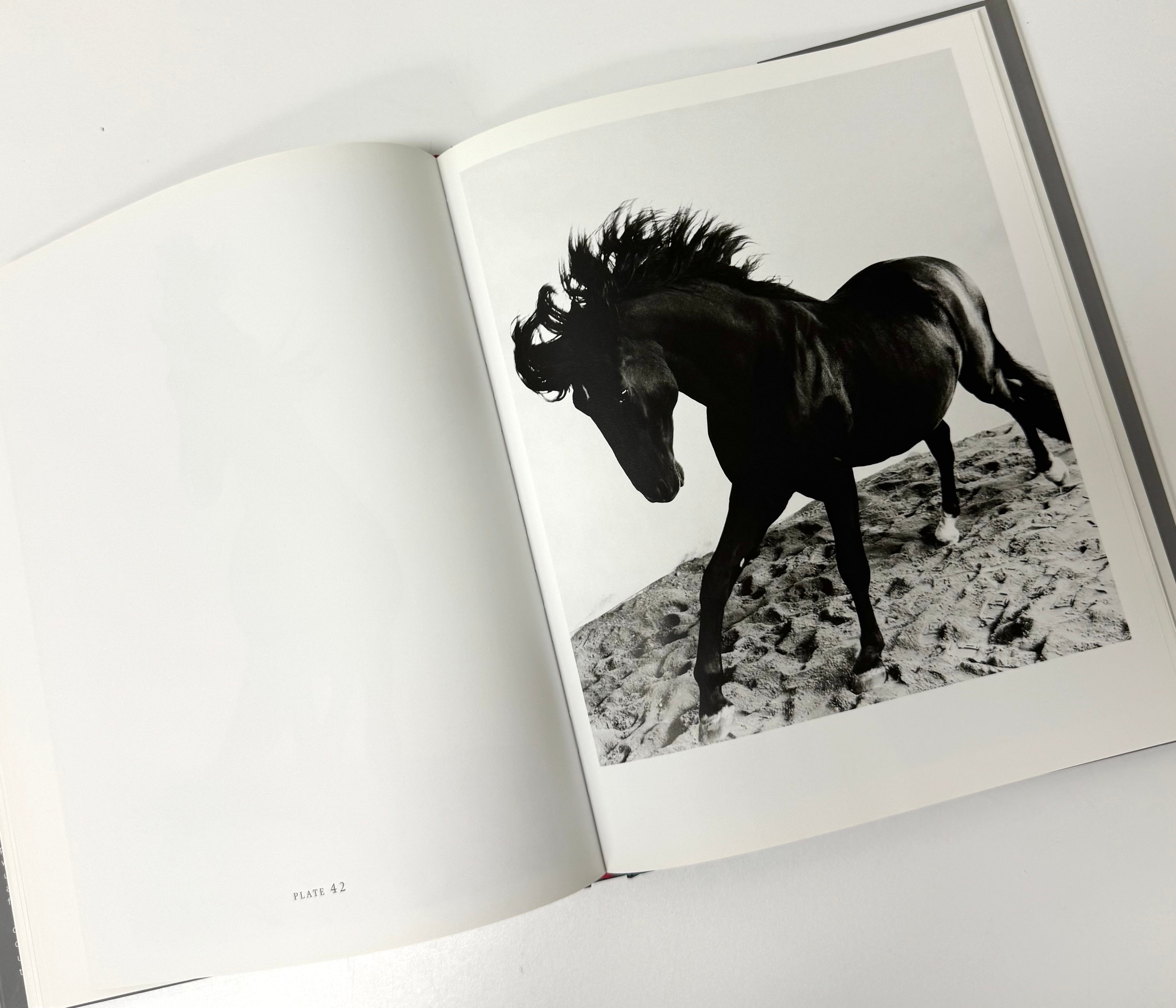 'Heart of the Horse' Hardcover
