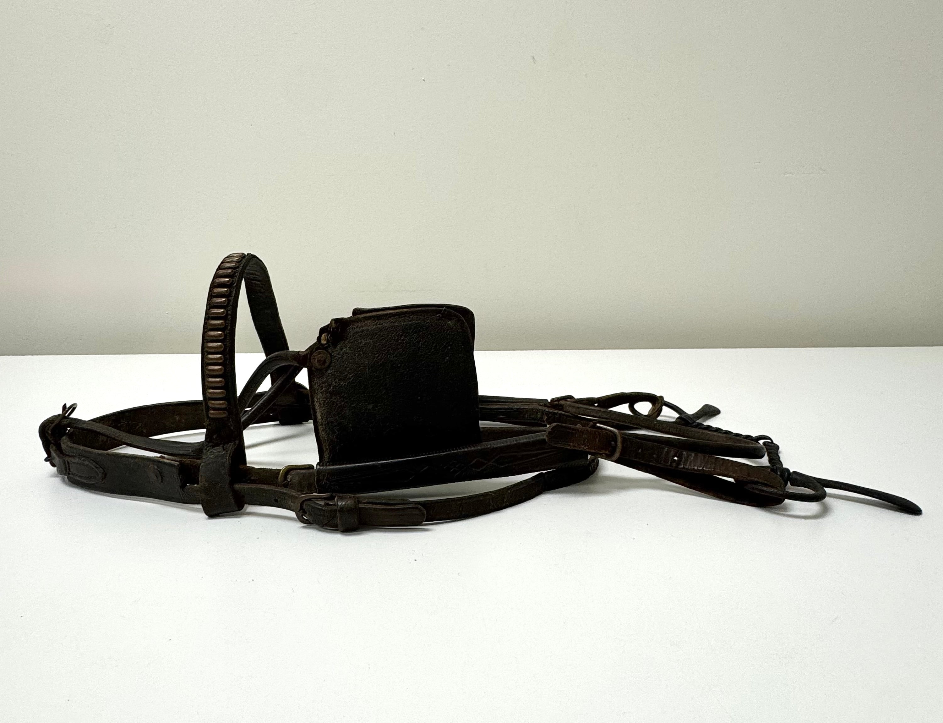 Vintage Leather Bridle with Bit & Blinders