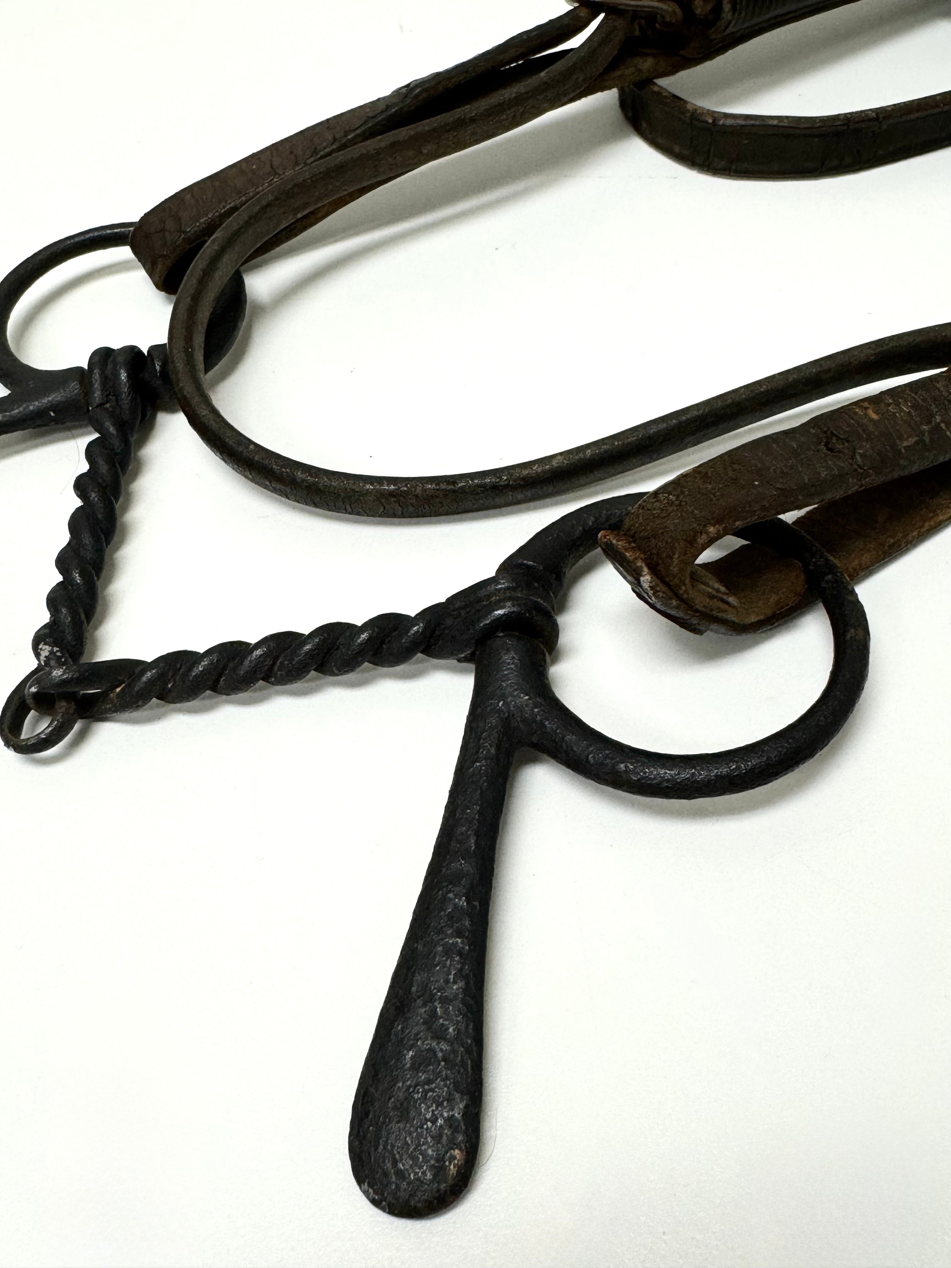 Vintage Leather Bridle with Bit & Blinders