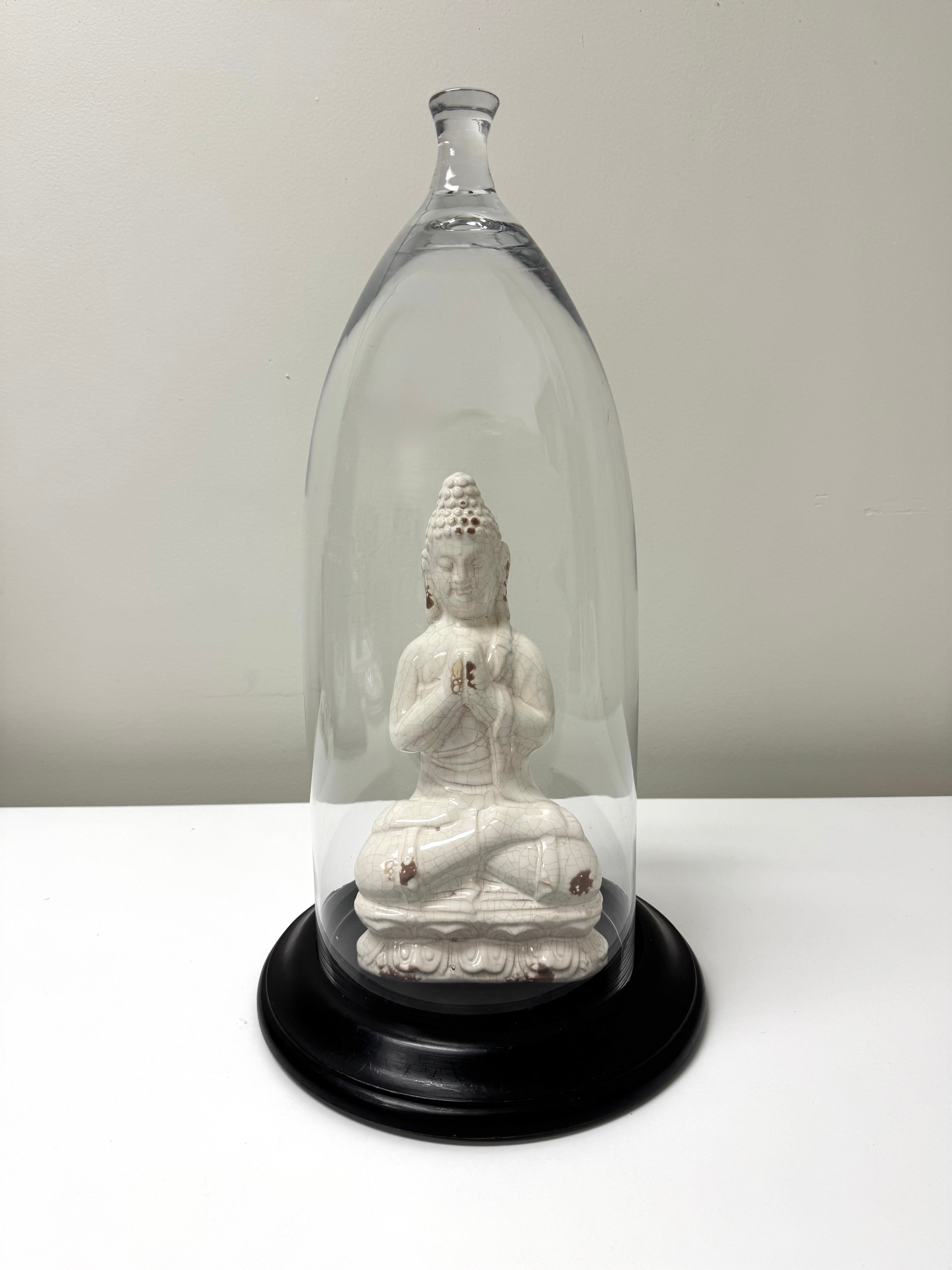 Buddha Under Cloche