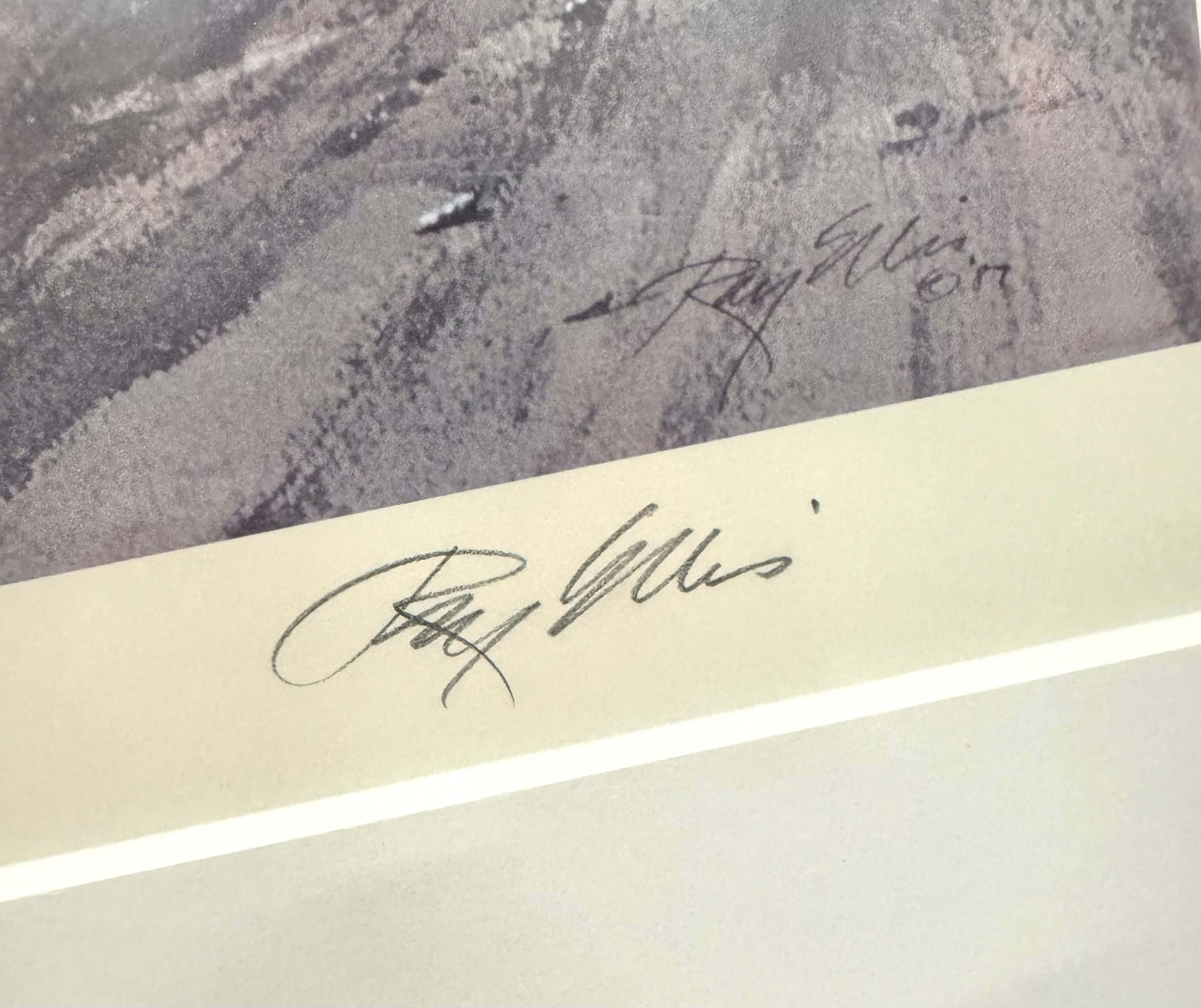 'Fields' Limited Edition Print