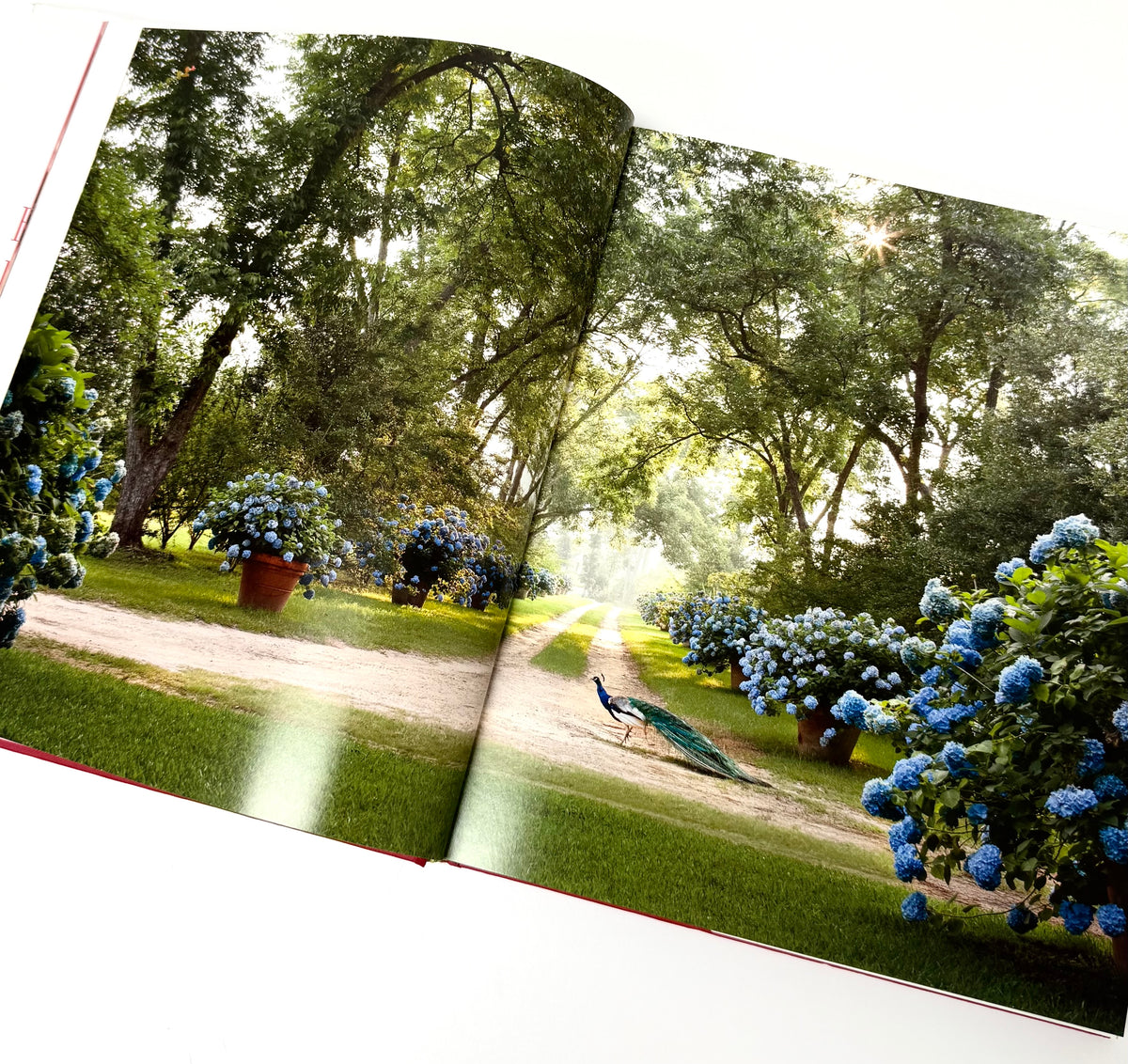 'The Romance of Flowers' Hardcover
